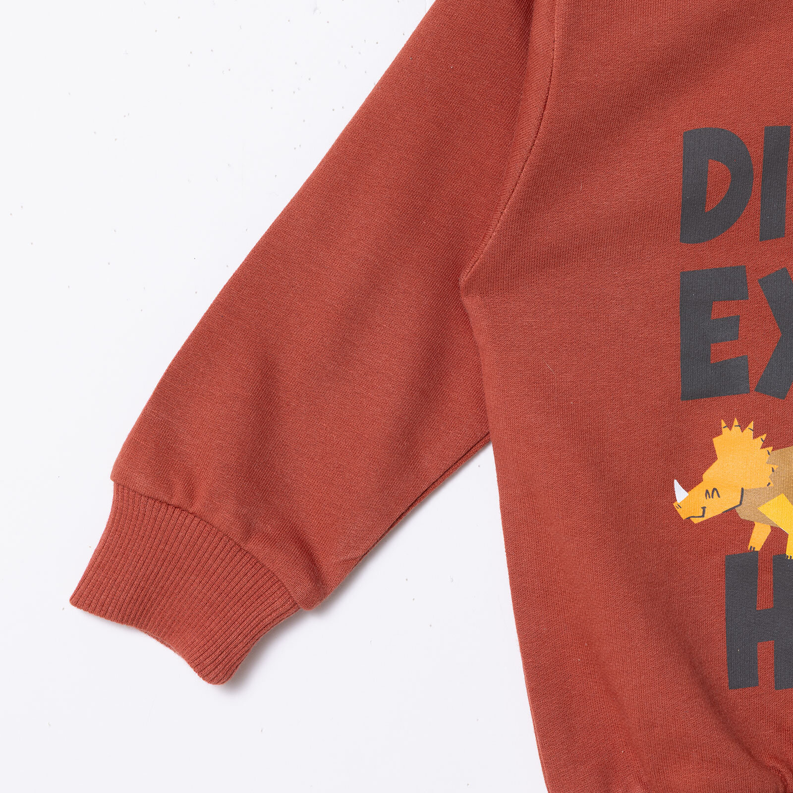 Erkek Bebek Sweatshirt &nbsp;Dinazor Baskılı Bisiklet Yaka Uzun Kol