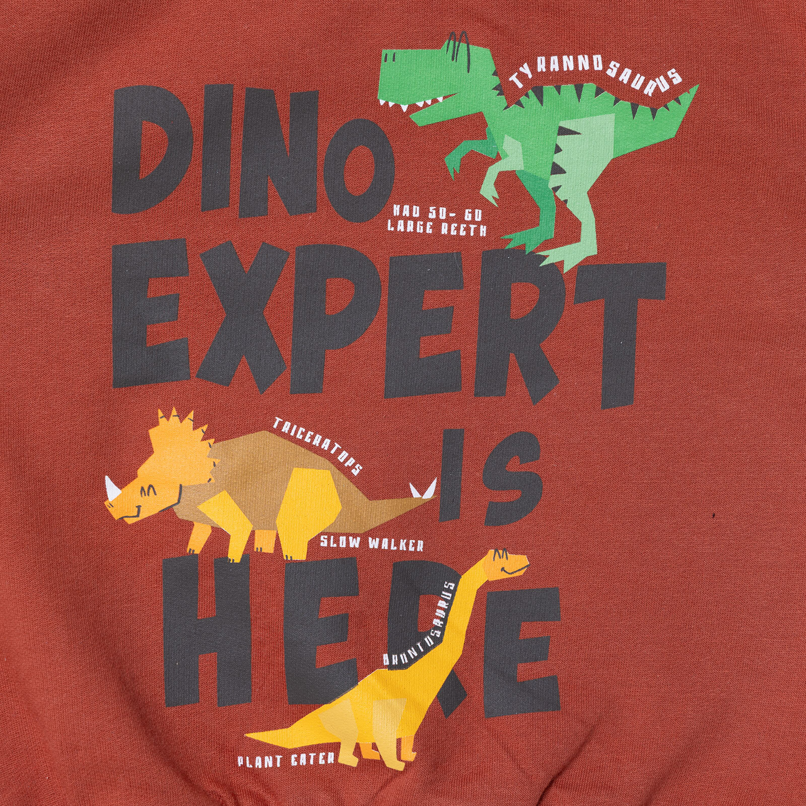 Erkek Bebek Sweatshirt &nbsp;Dinazor Baskılı Bisiklet Yaka Uzun Kol