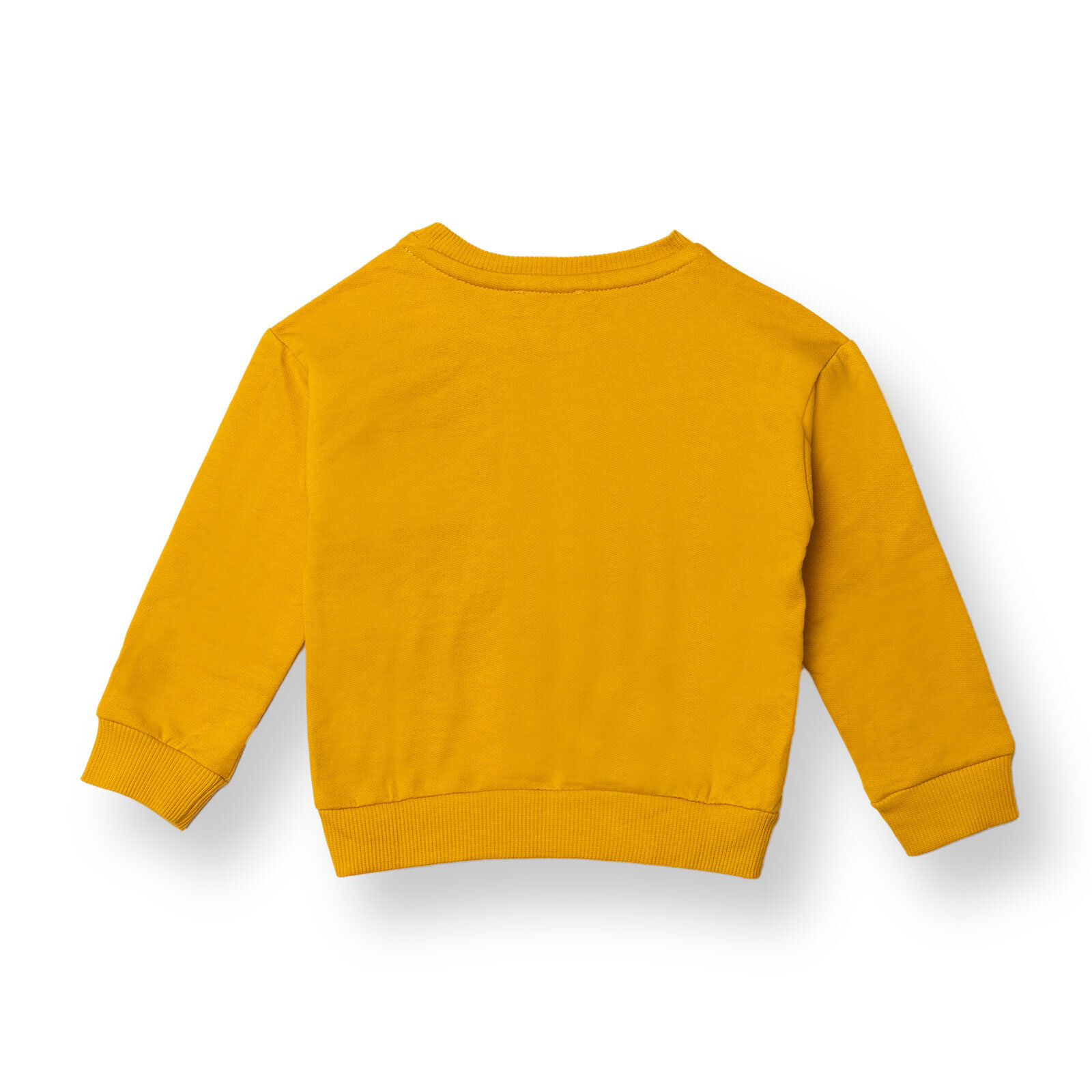 Erkek Bebek Sweatshirt Şardonlu İki İplik Bisiklet Yaka Uzun Kol