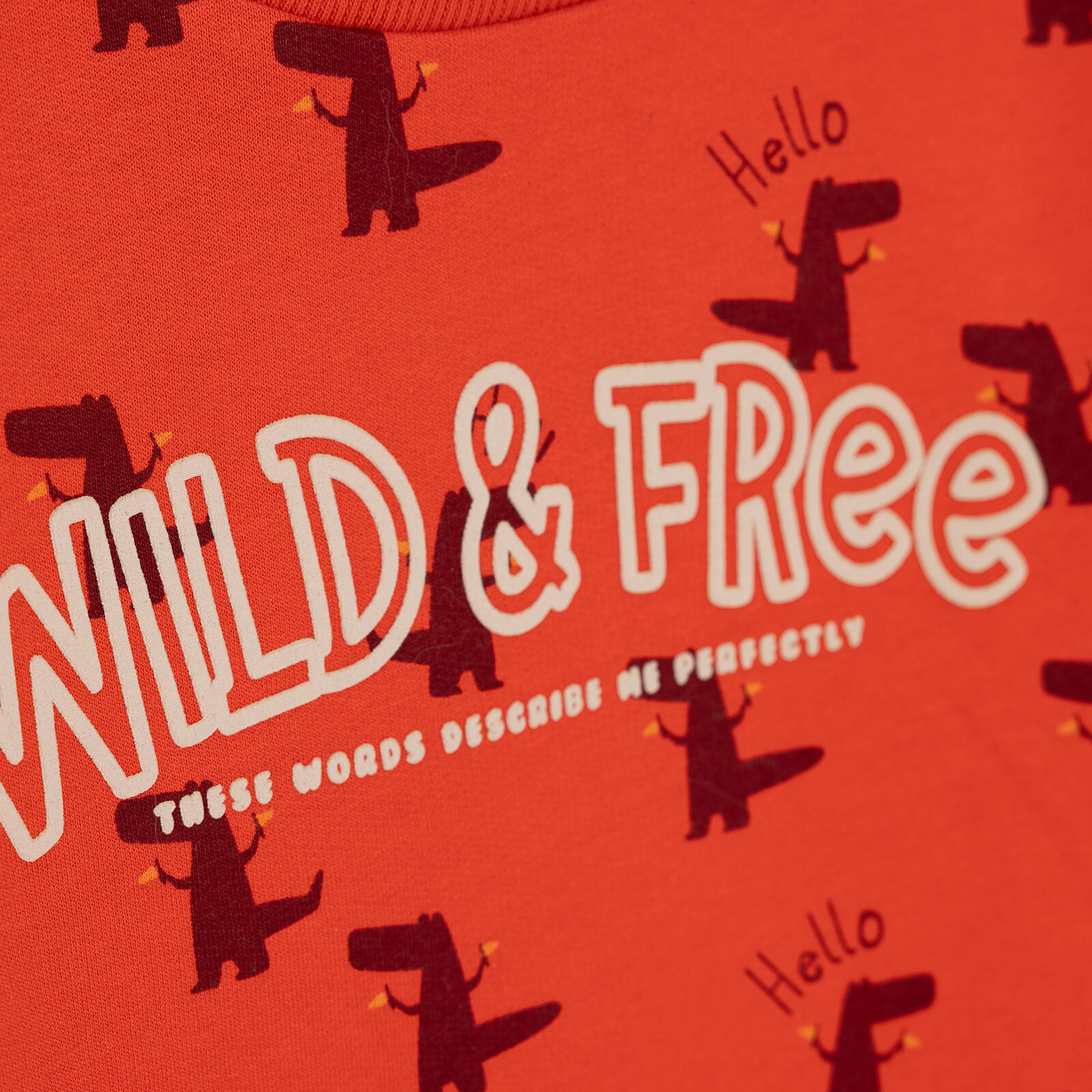 Erkek Bebek Sweatshirt Şardonlu İki İplik Bisiklet Yaka Uzun Kol