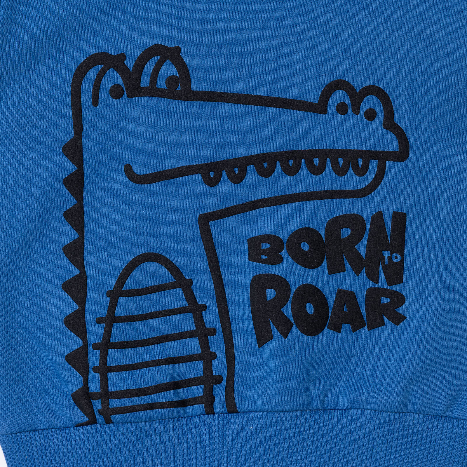 Erkek Bebek Sweatshirt Timsah Baskılı Bisiklet Yaka Uzun Kol Erkek Bebek Sweatshirt Timsah Baskılı Bisiklet Yaka Uzun Kol