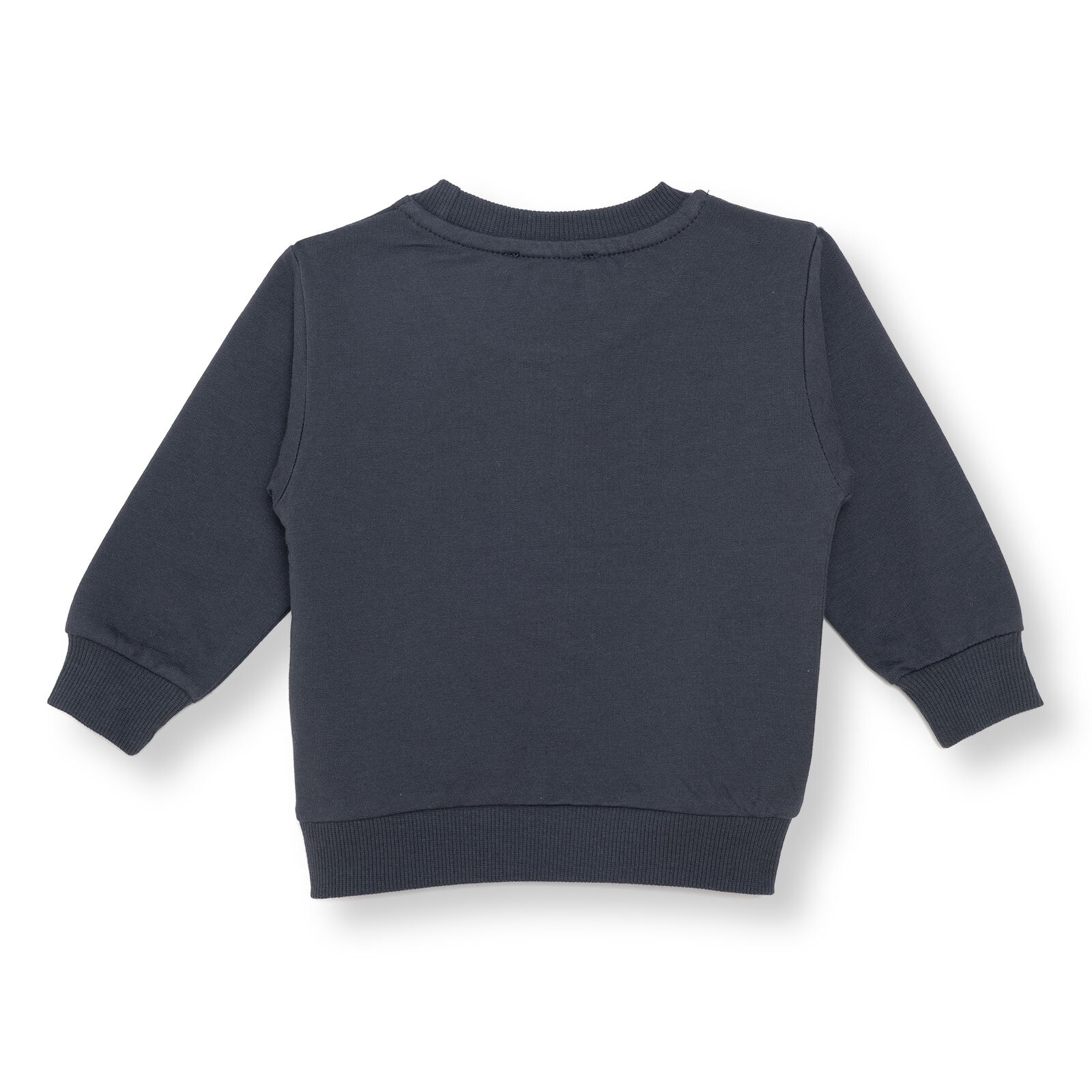 Basic Sweatshirt Basic Sweatshirt