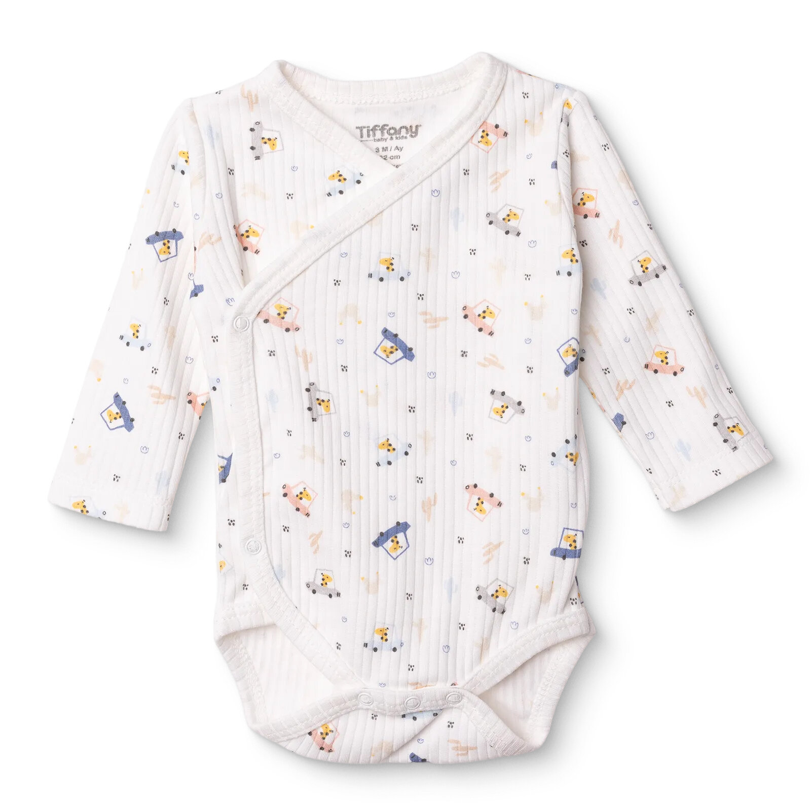 Erkek Bebek Zıbın Body İnterlok V Yaka Uzun Kol