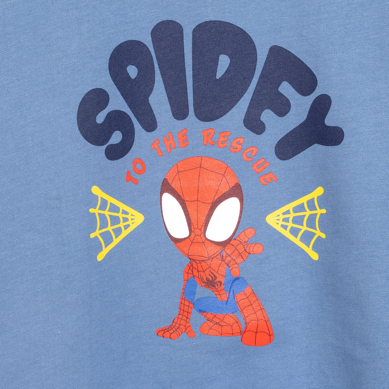 Erkek Sweatshirt Erkek Bebek