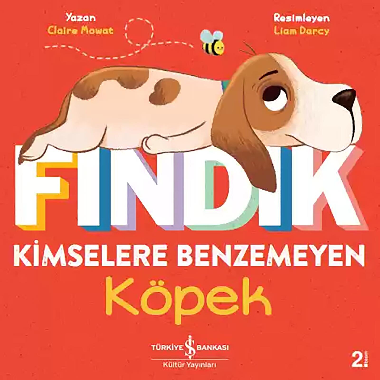 Fındık Kimselere Benzemeyen Köpek