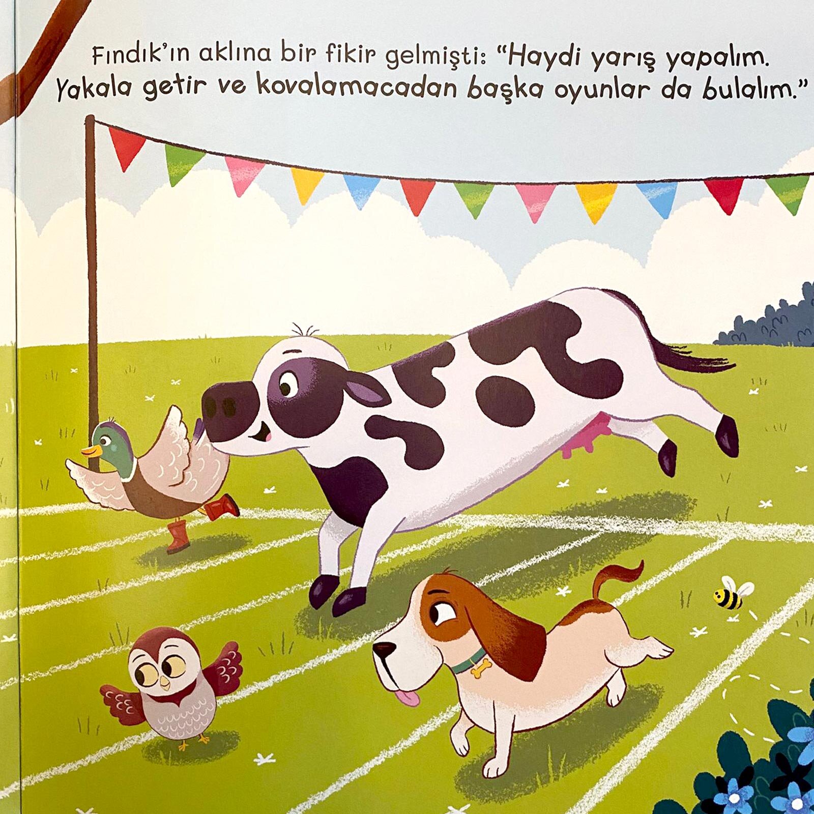 Fındık Kimselere Benzemeyen Köpek