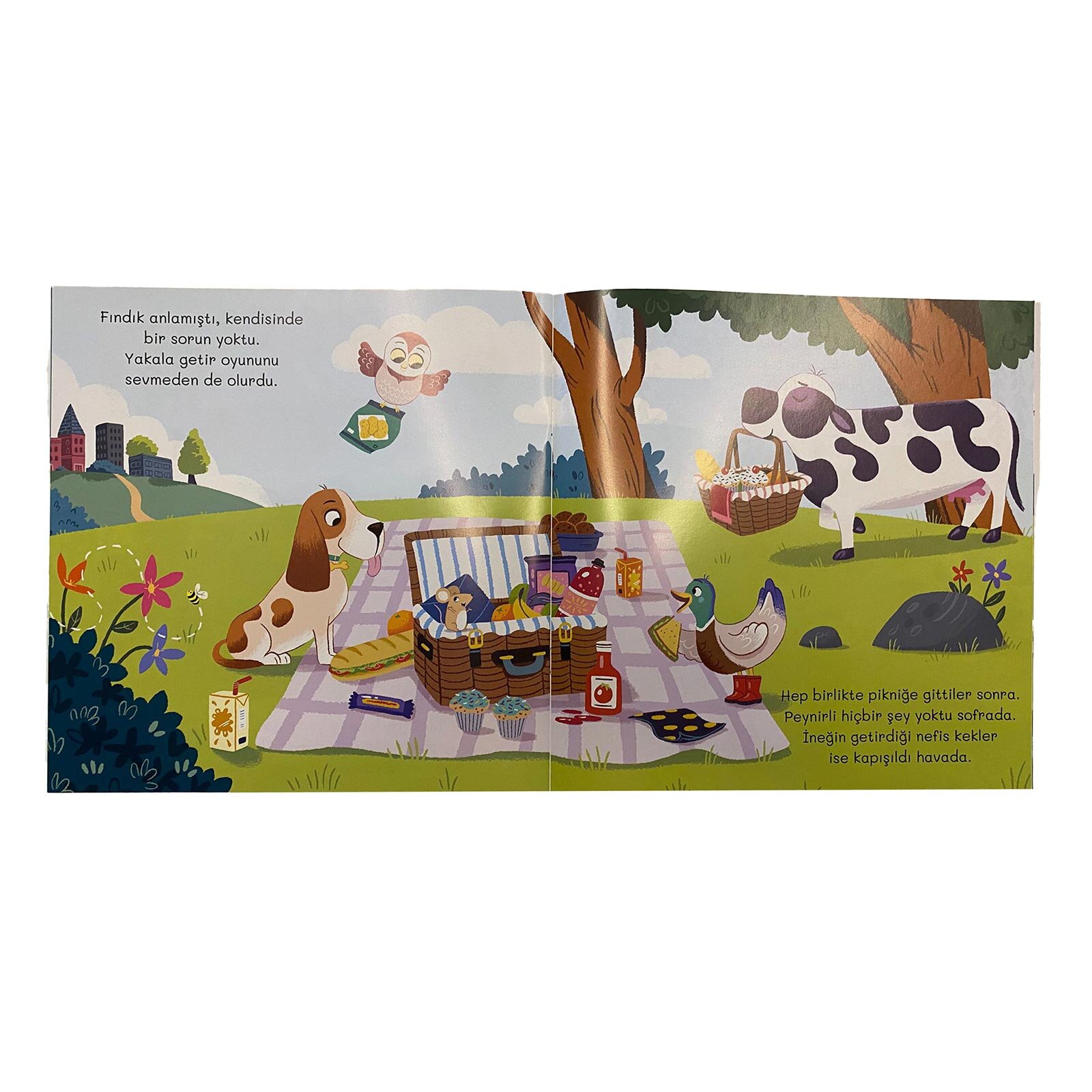 Fındık Kimselere Benzemeyen Köpek