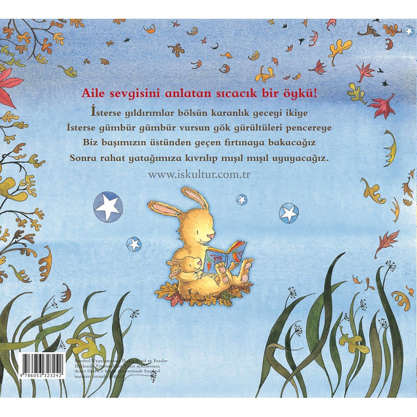 Fırtınalı Gece Fırtınalı Gece