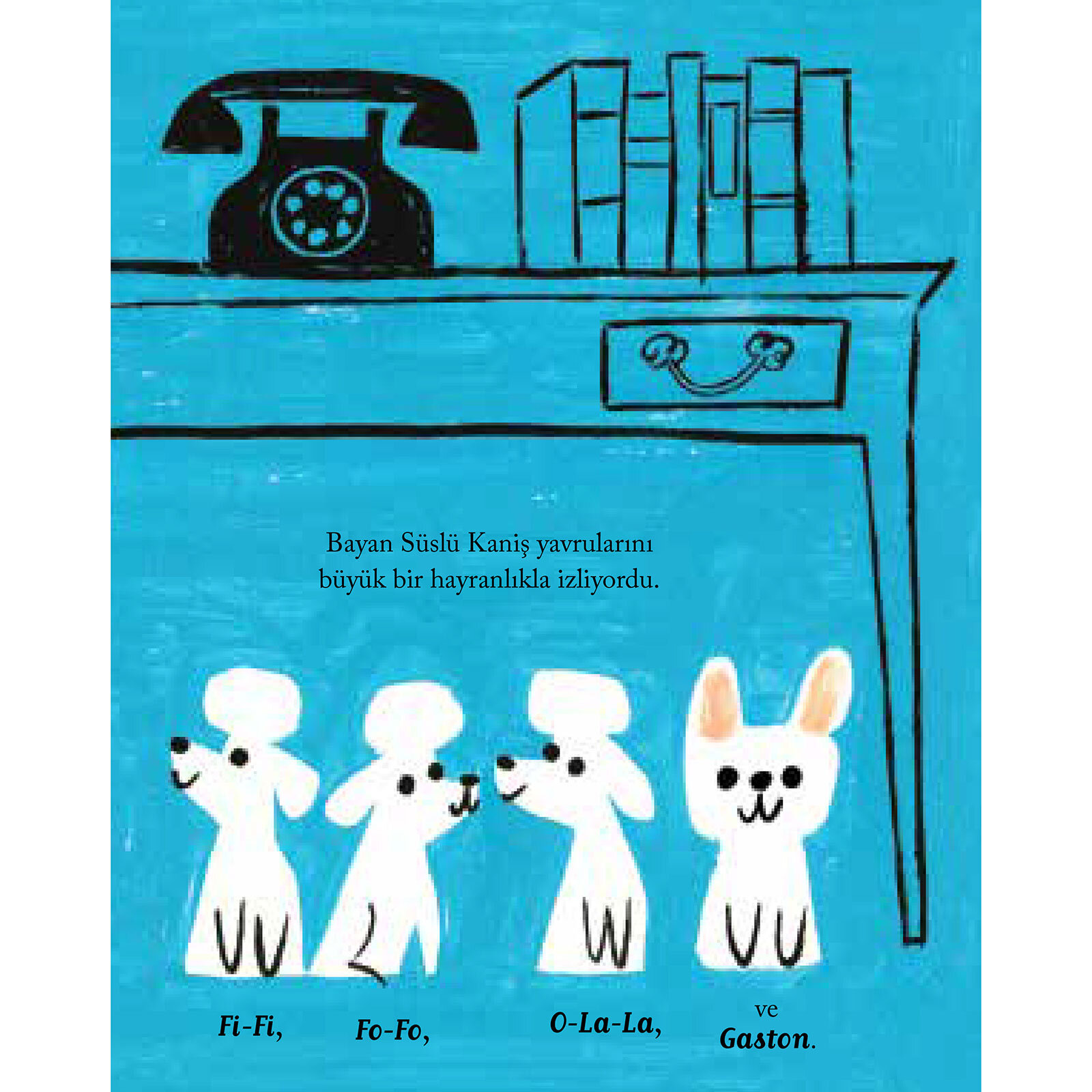 Gaston-Bir Karışıklık Öyküsü Gaston-Bir Karışıklık Öyküsü