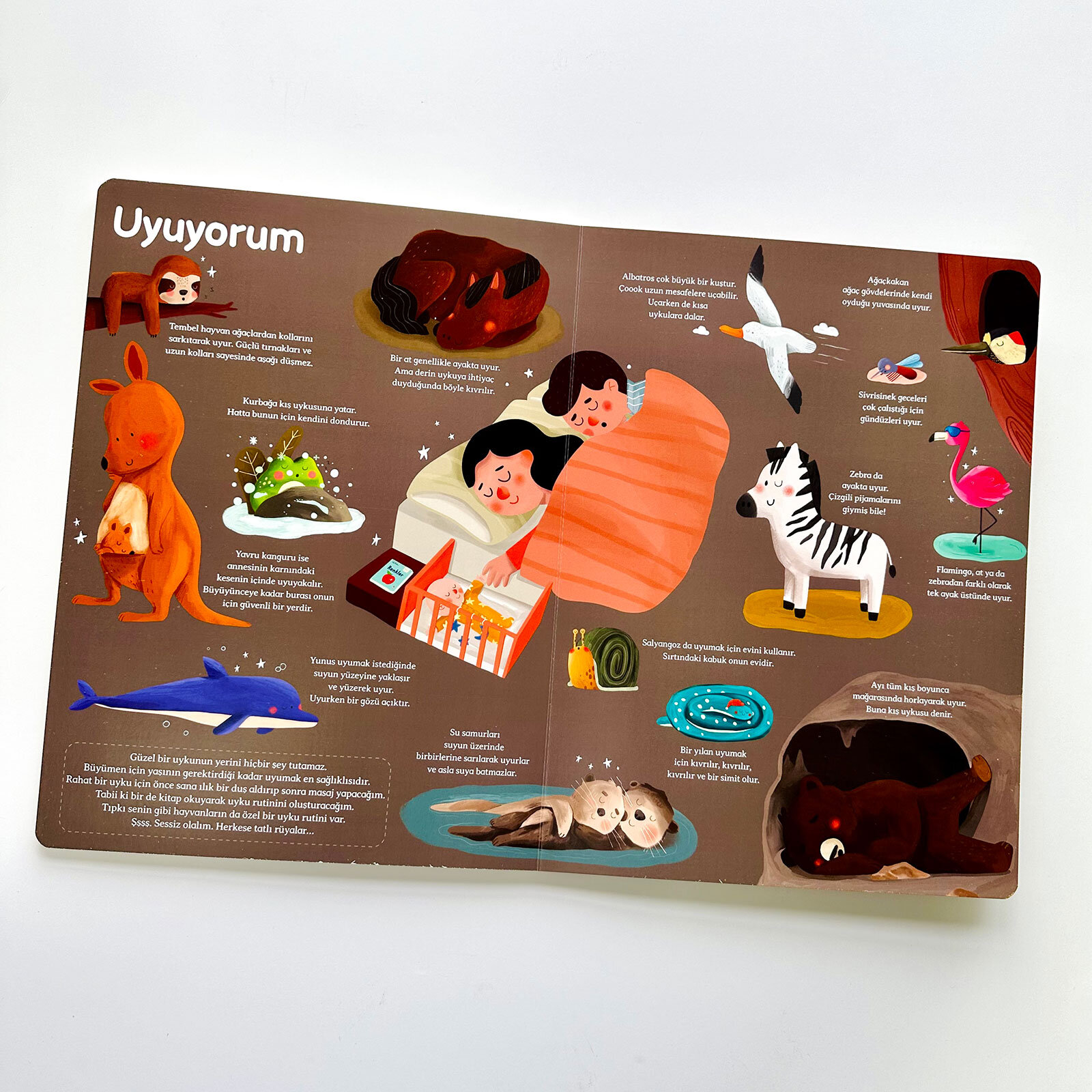 Genel Kültür Kitabım - Büyüyorum Çağrı Odabaşı Genel Kültür Kitabım - Büyüyorum Çağrı Odabaşı