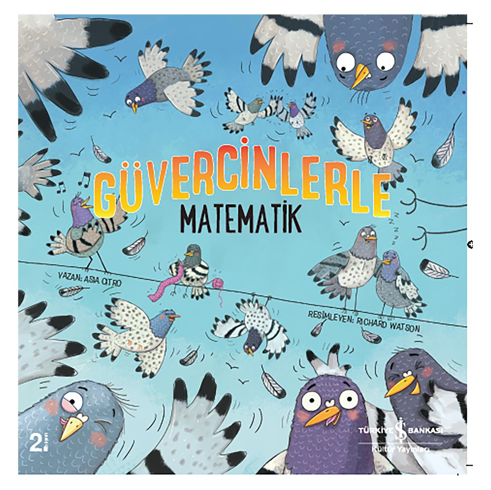 Güvercinlerle Matematik