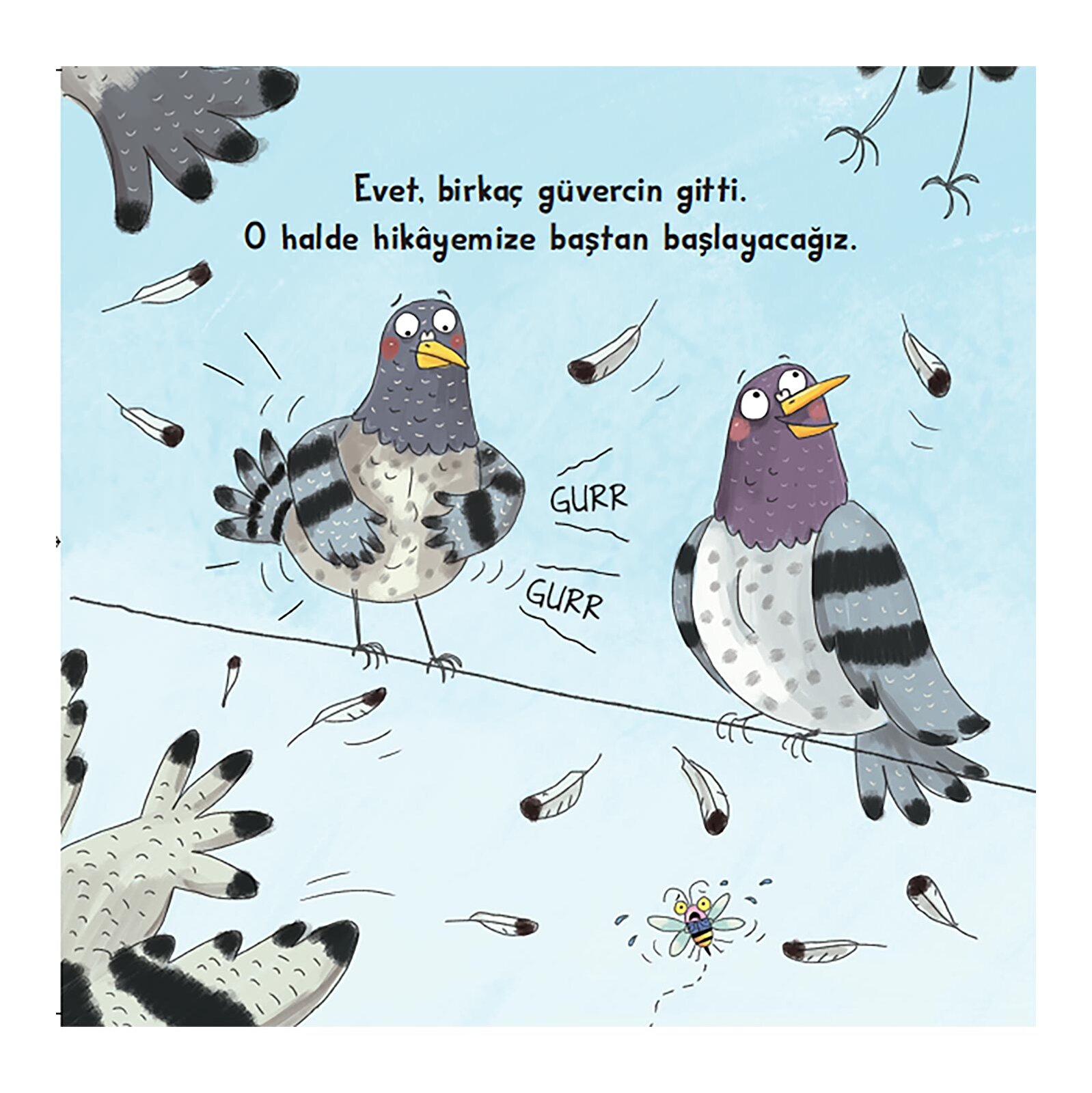 Güvercinlerle Matematik