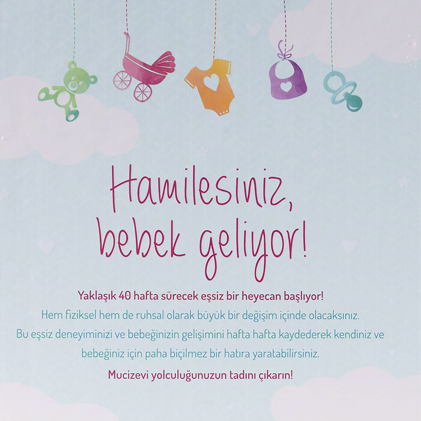 Hamilelik Günlüğüm