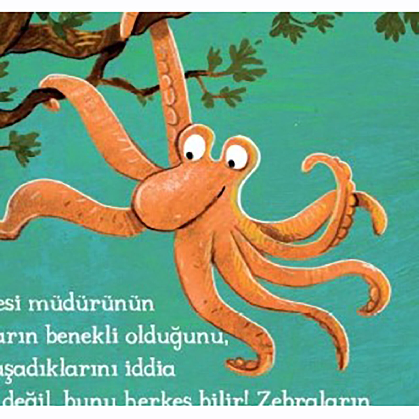 HAYVANAT BAHÇESİNDE TERS OLAN NE? HAYVANAT BAHÇESİNDE TERS OLAN NE?