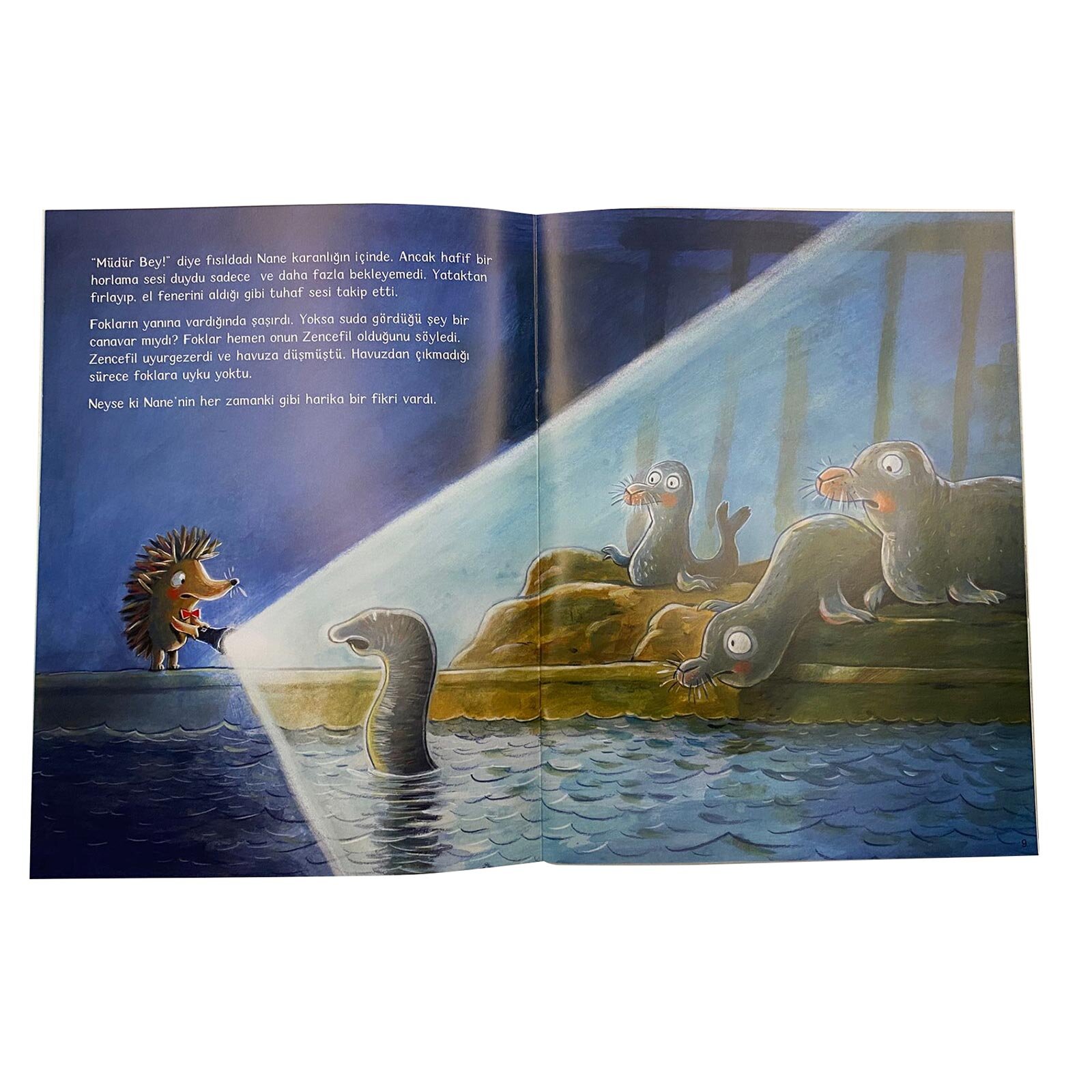 Hayvanat Bahçesinde Uyku Zamanı