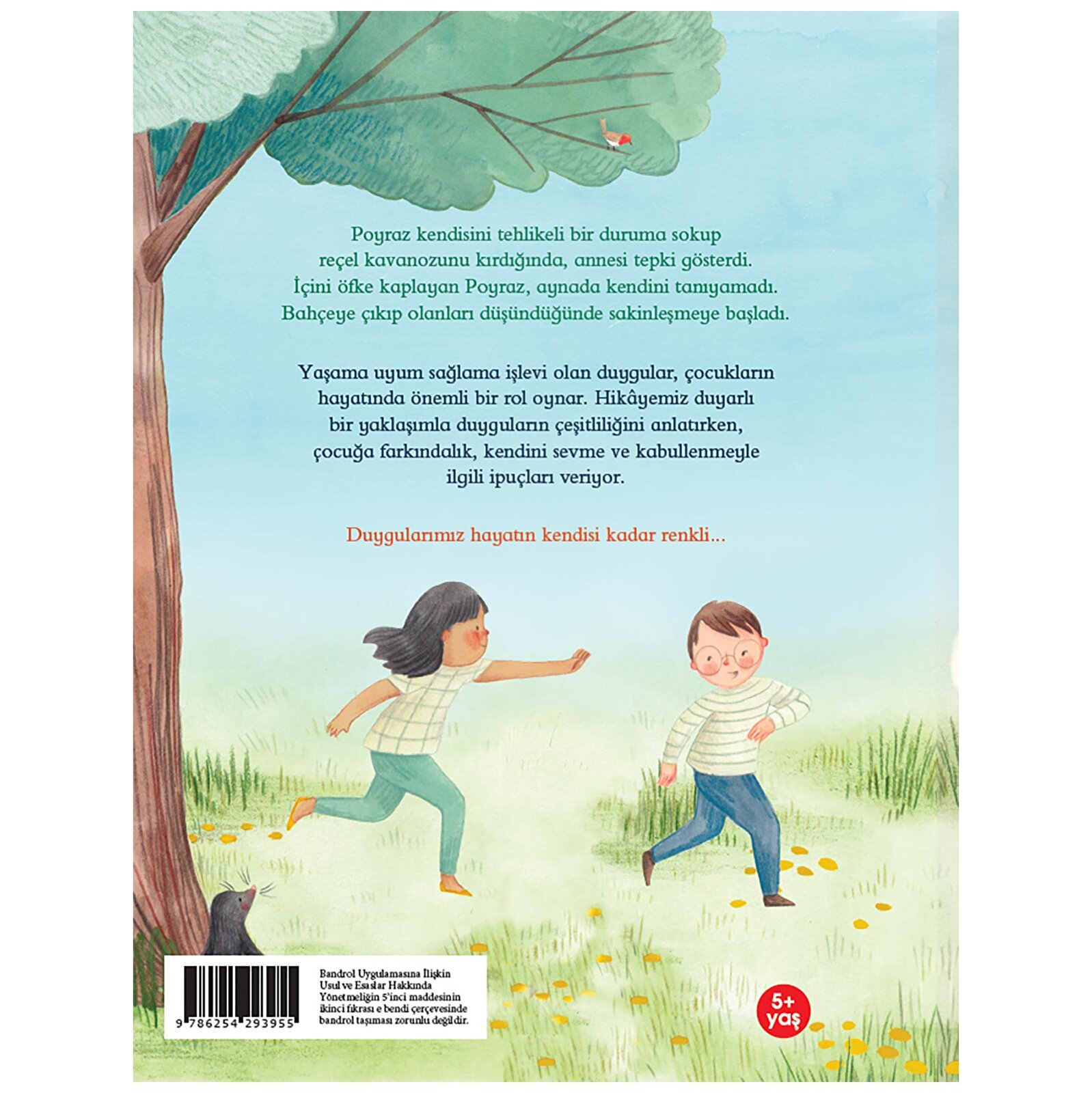 Hepsi Bizim Duygularımız