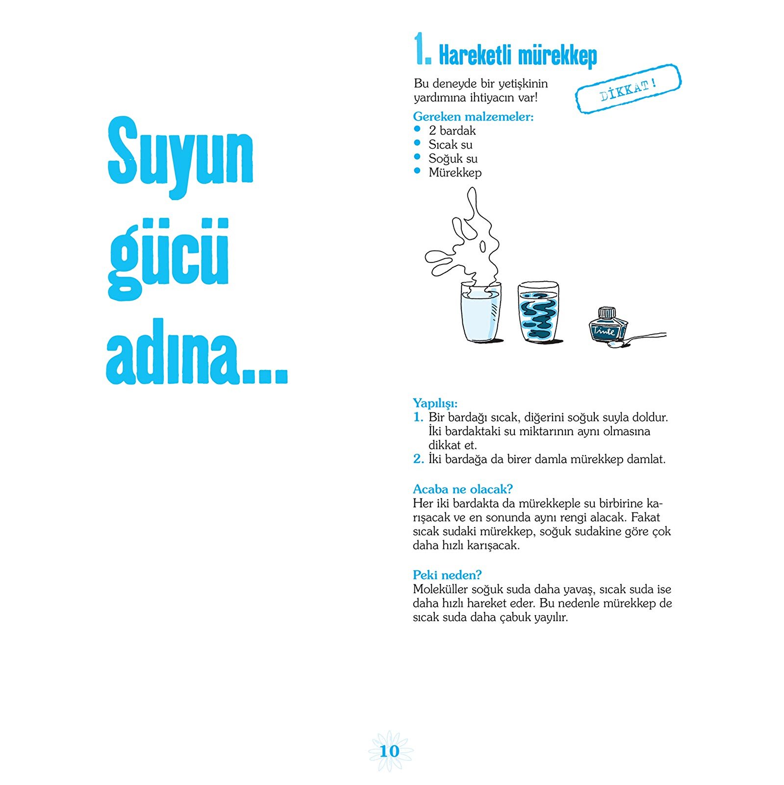 Her Güne Bir Deney Her Güne Bir Deney