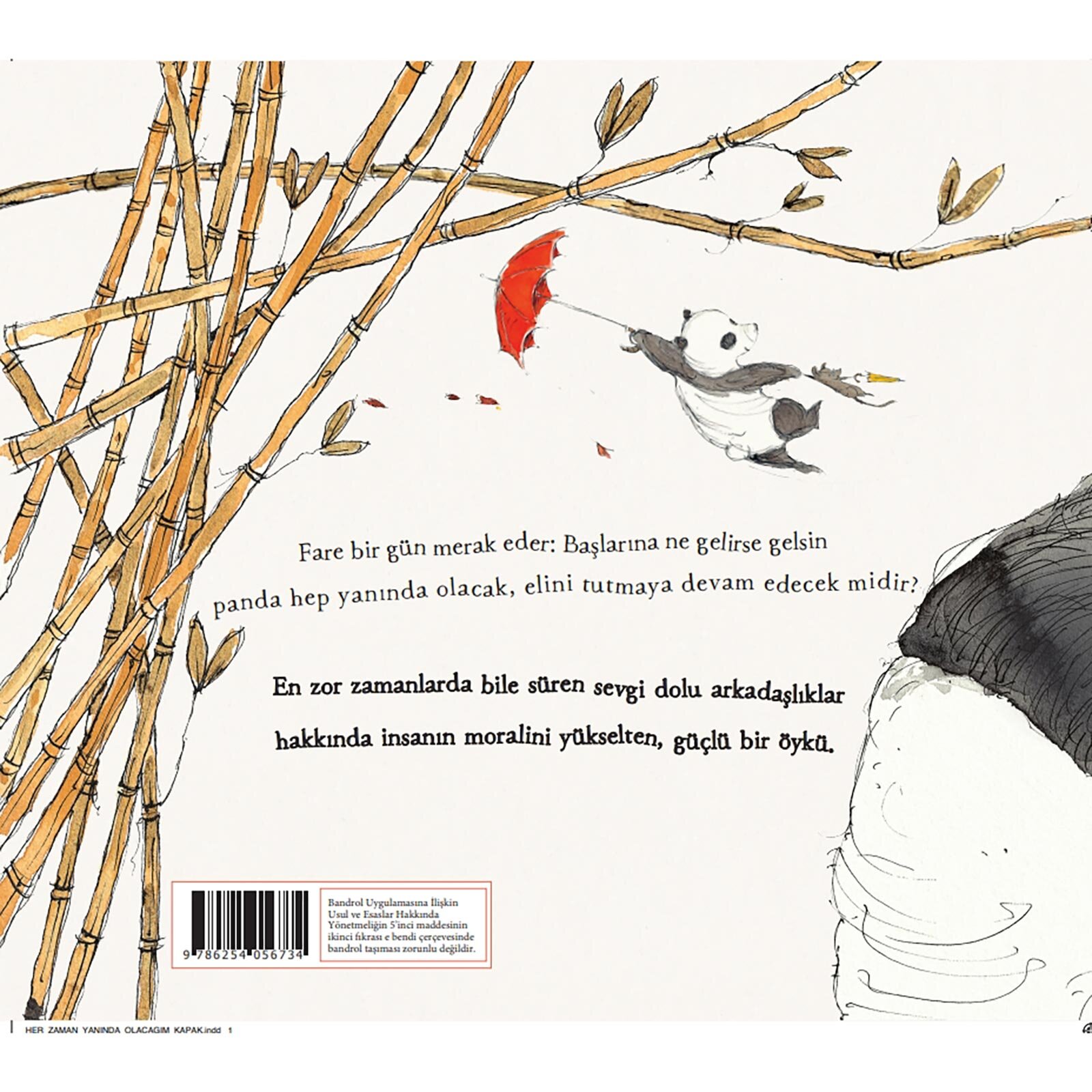 Her Zaman Yanında Olacağım