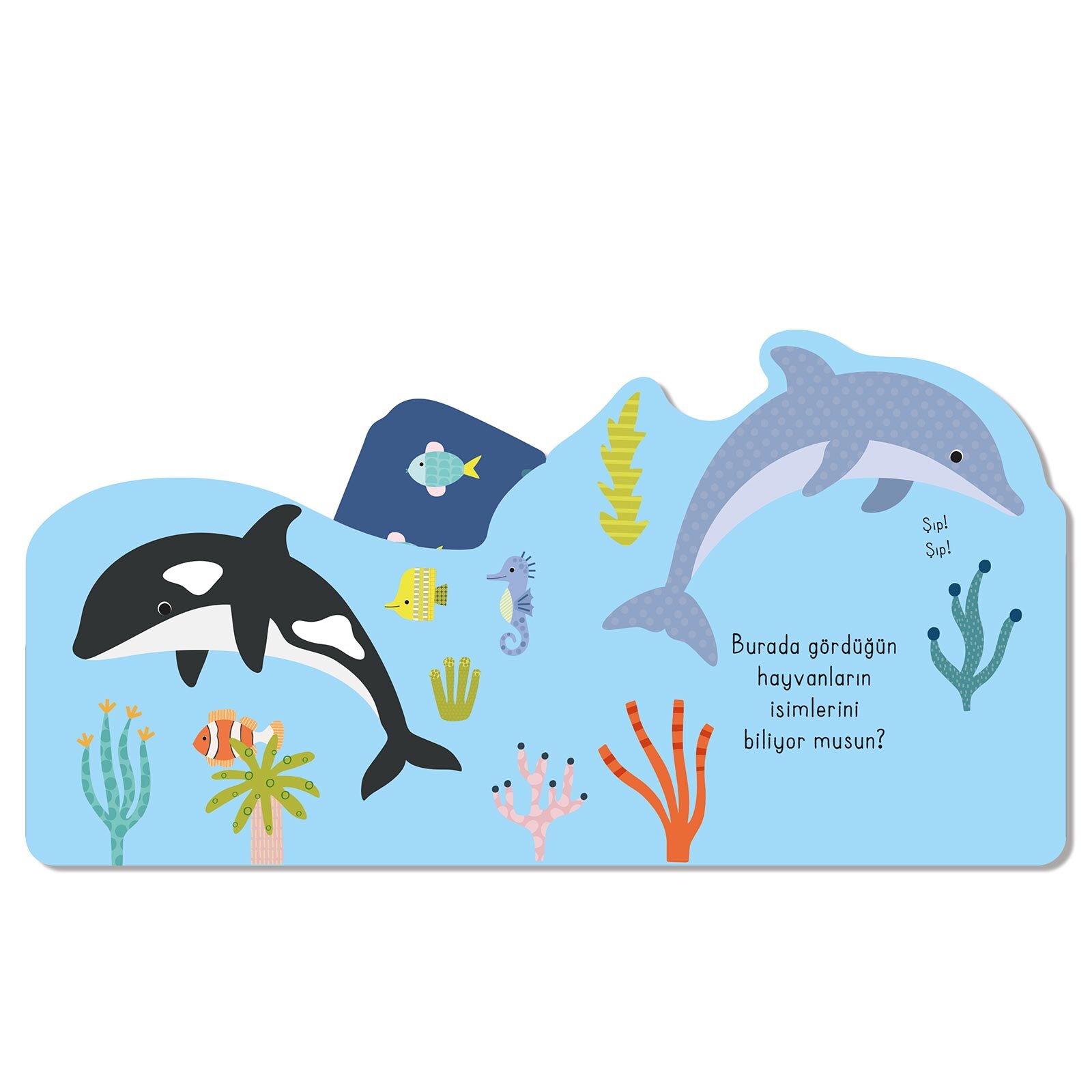 Hoplaya Zıplaya Sualtı Hoplaya Zıplaya Sualtı