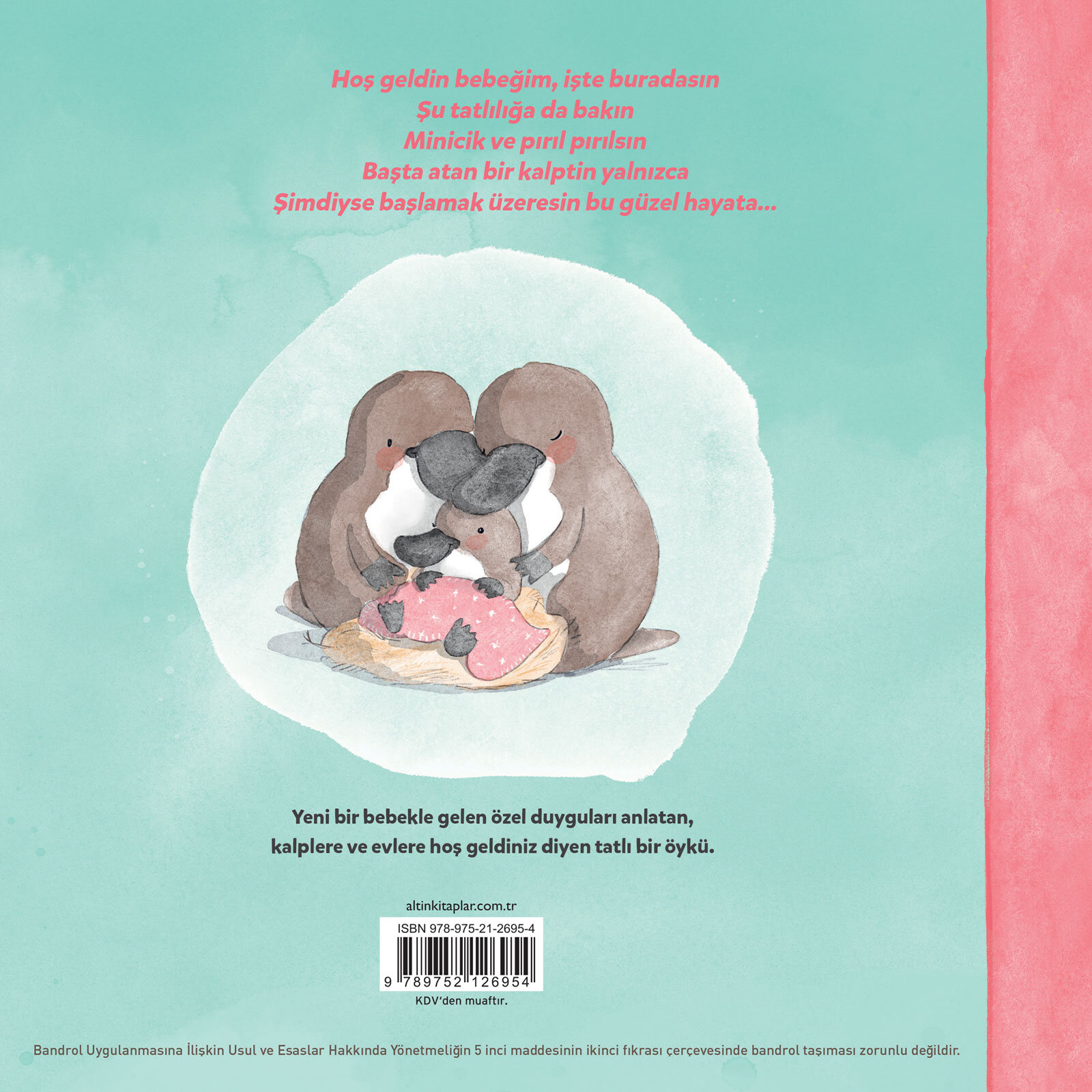 Hoş Geldin Bebeğim