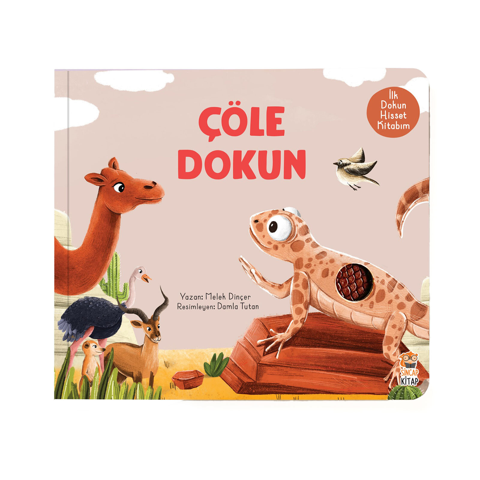 İlk Dokun Hisset Çöle Dokun