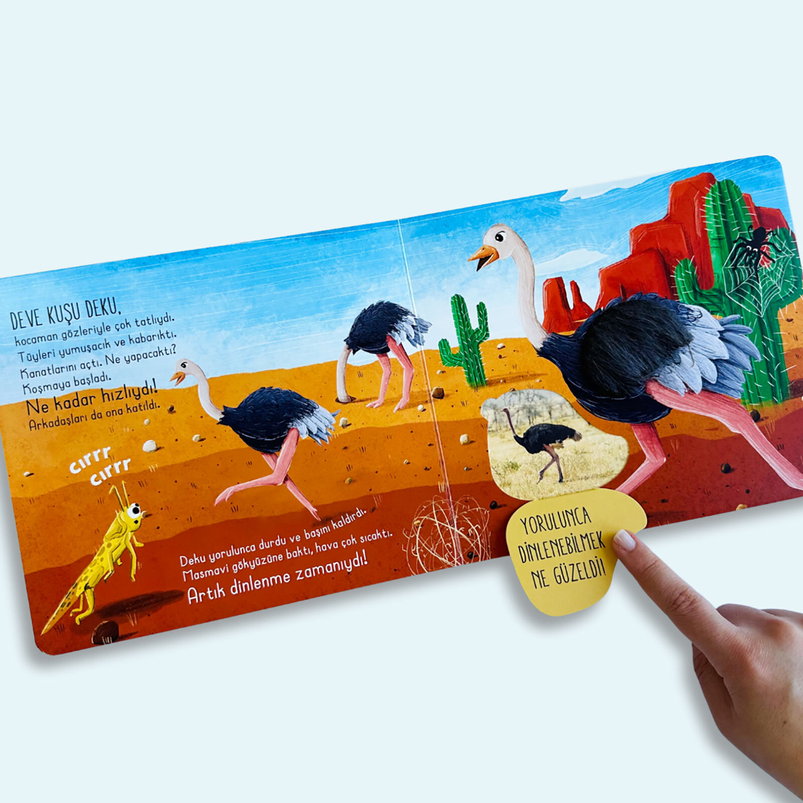 İlk Dokun Hisset Çöle Dokun