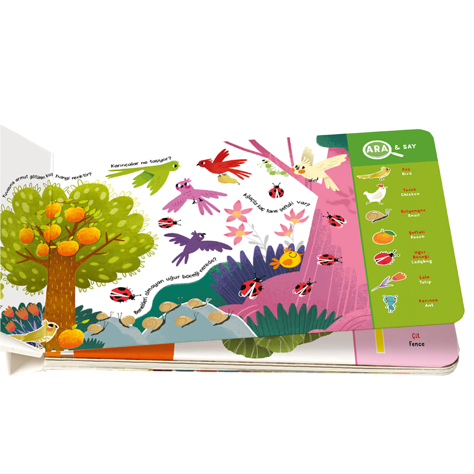 İlk Etklinlik Kitap Setim Sayılar ve Renkler 12-36 Ay İlk Etklinlik Kitap Setim Sayılar ve Renkler 12-36 Ay