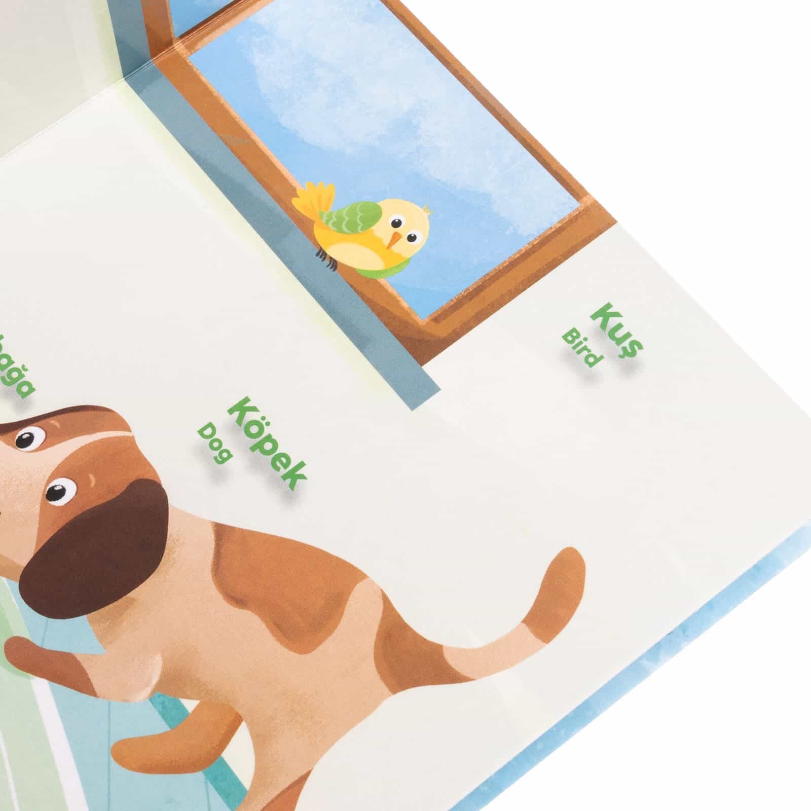 İlk Kitaplarım 2 Hayvanlar İlk Kitaplarım 2 Hayvanlar