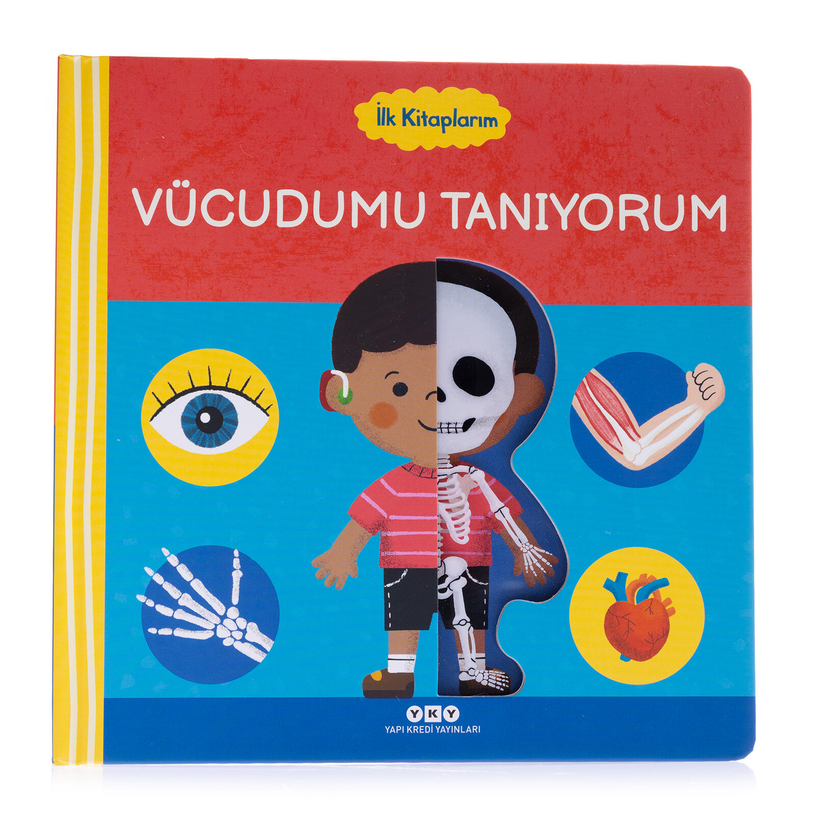 İlk Kitaplarım - Vücudumu Tanıyorum