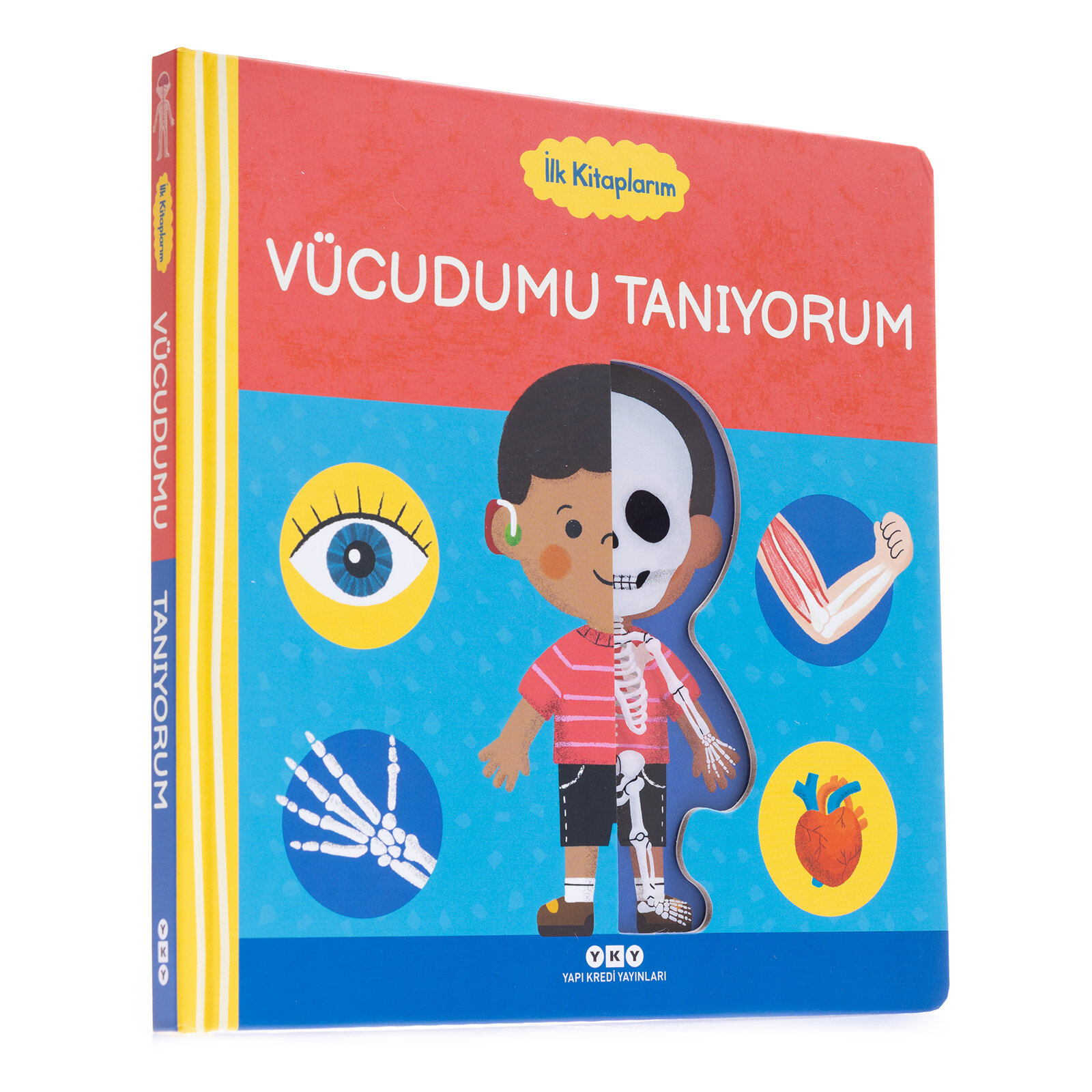 İlk Kitaplarım - Vücudumu Tanıyorum