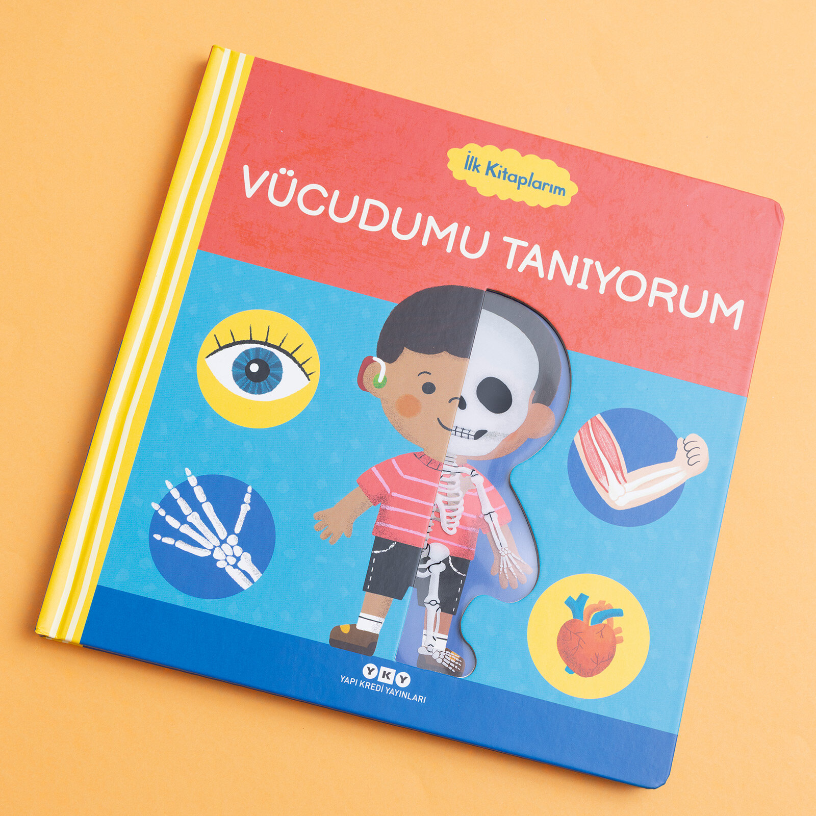 İlk Kitaplarım - Vücudumu Tanıyorum