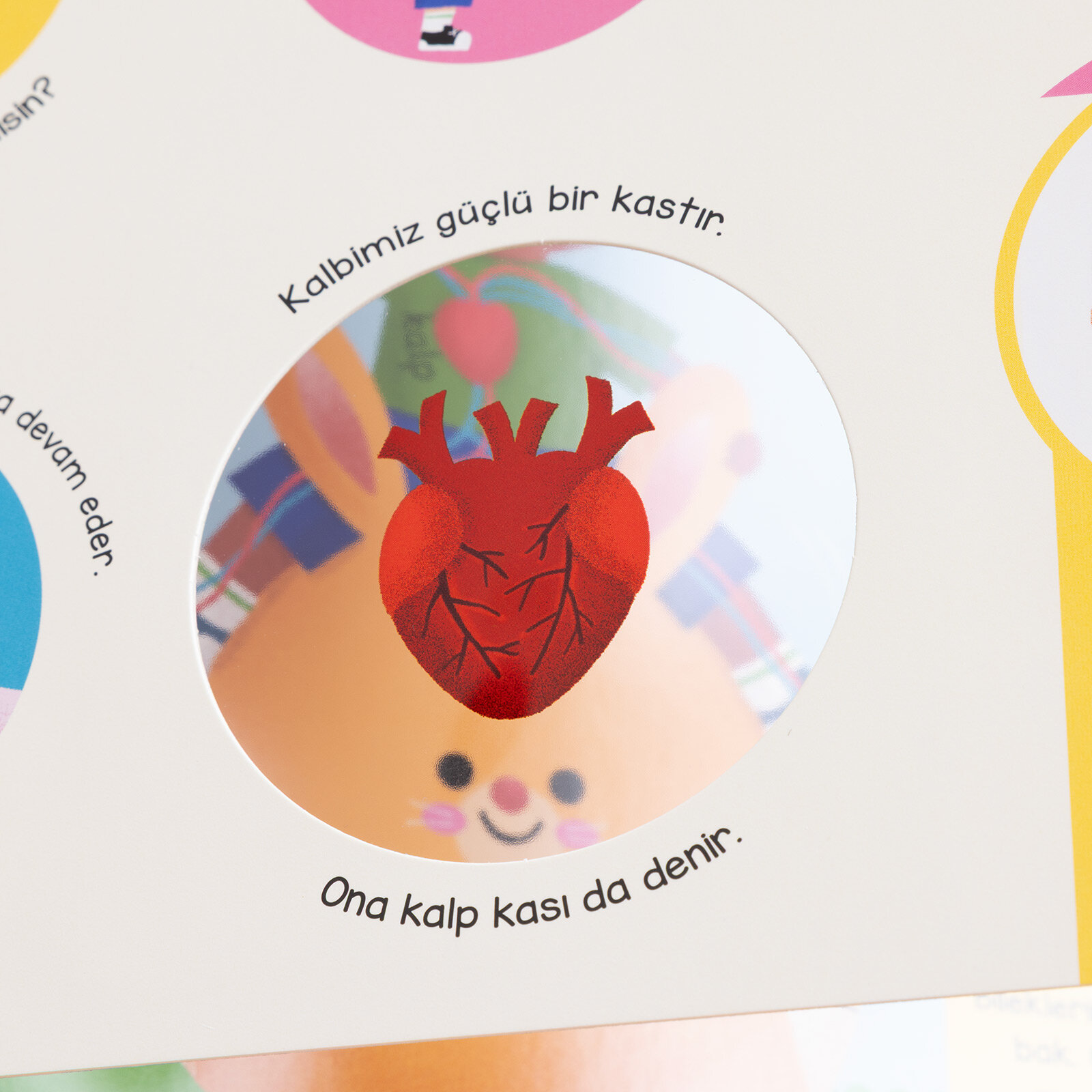 İlk Kitaplarım - Vücudumu Tanıyorum