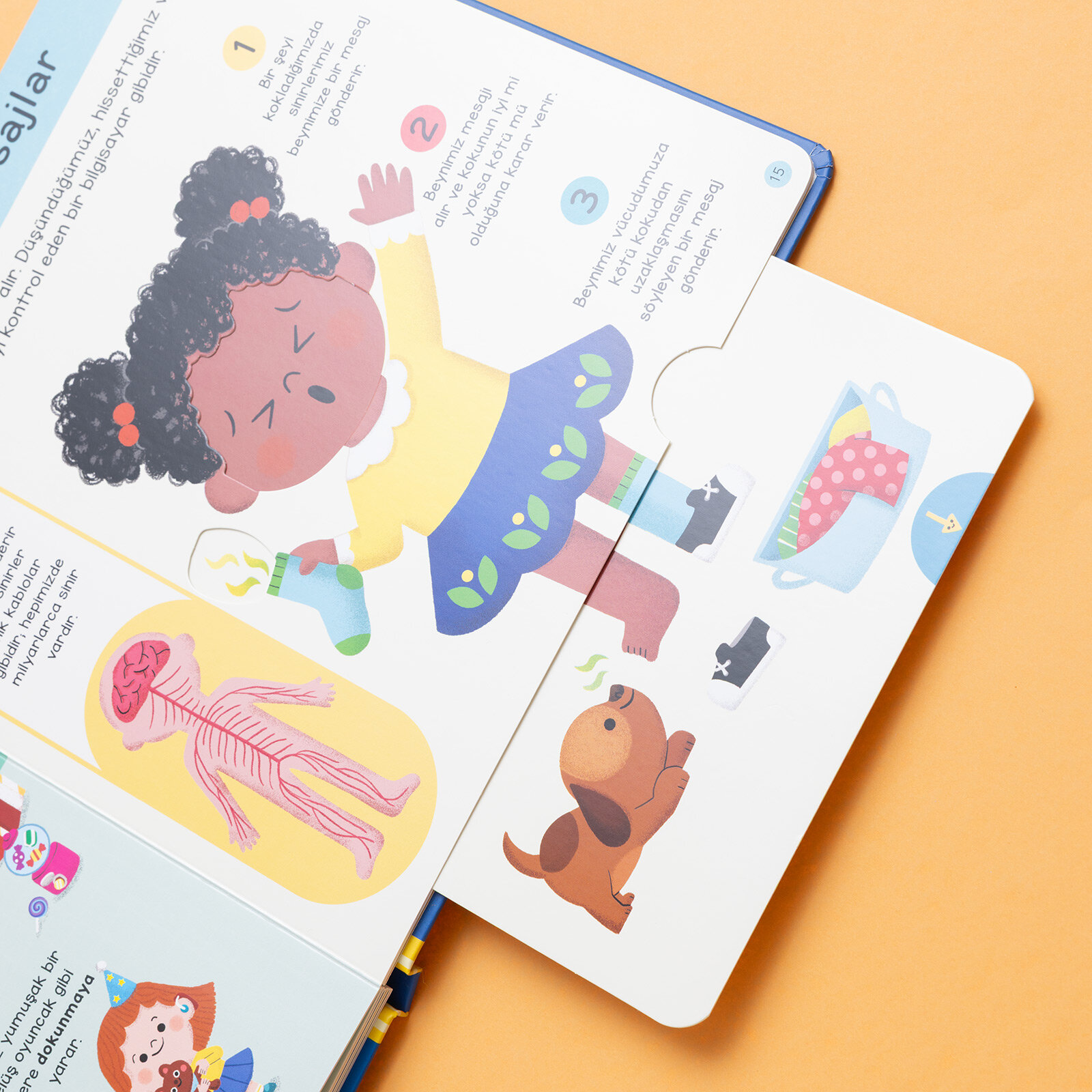 İlk Kitaplarım - Vücudumu Tanıyorum