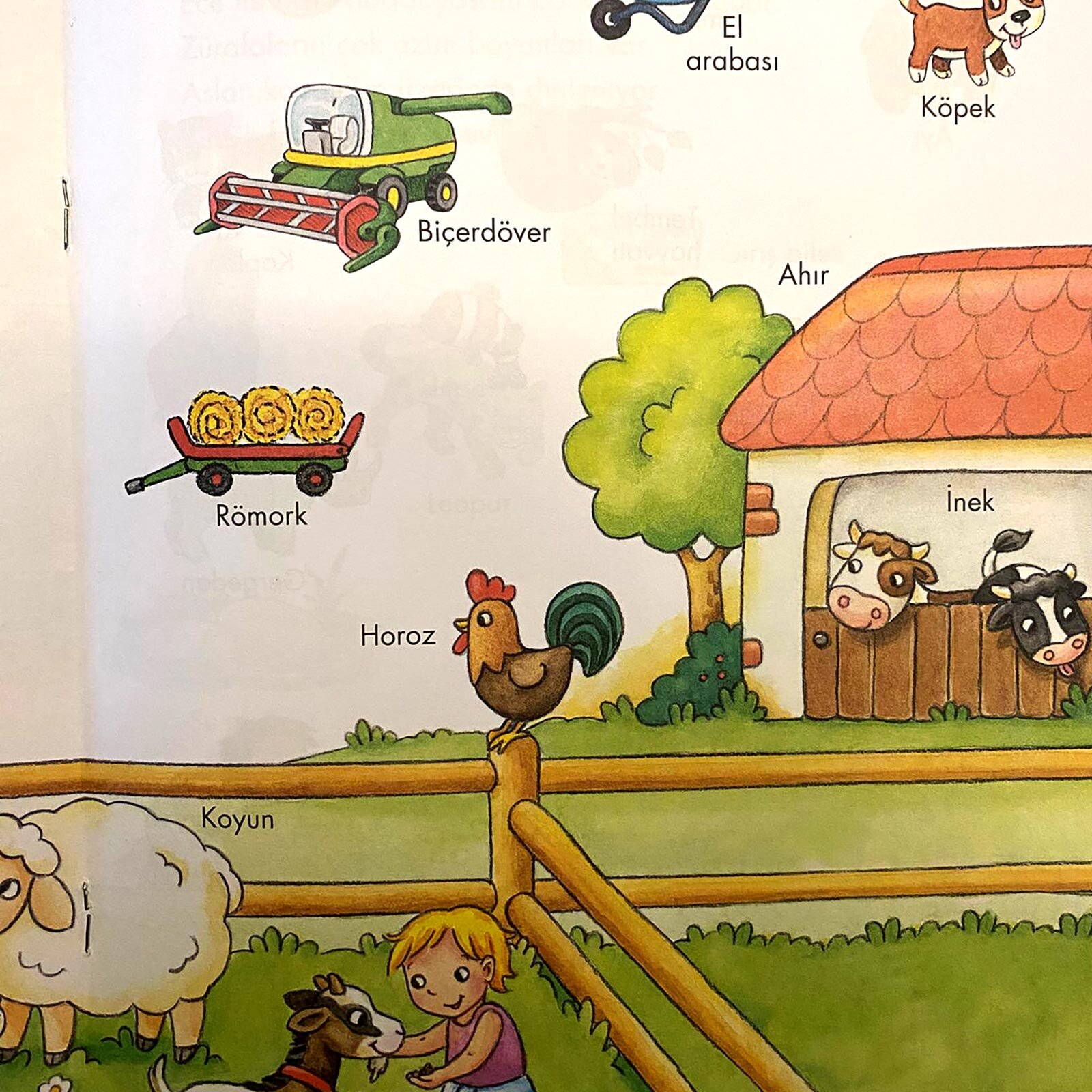 İlk Resimli Sözlüğüm - Küçük Kaşifler İçin