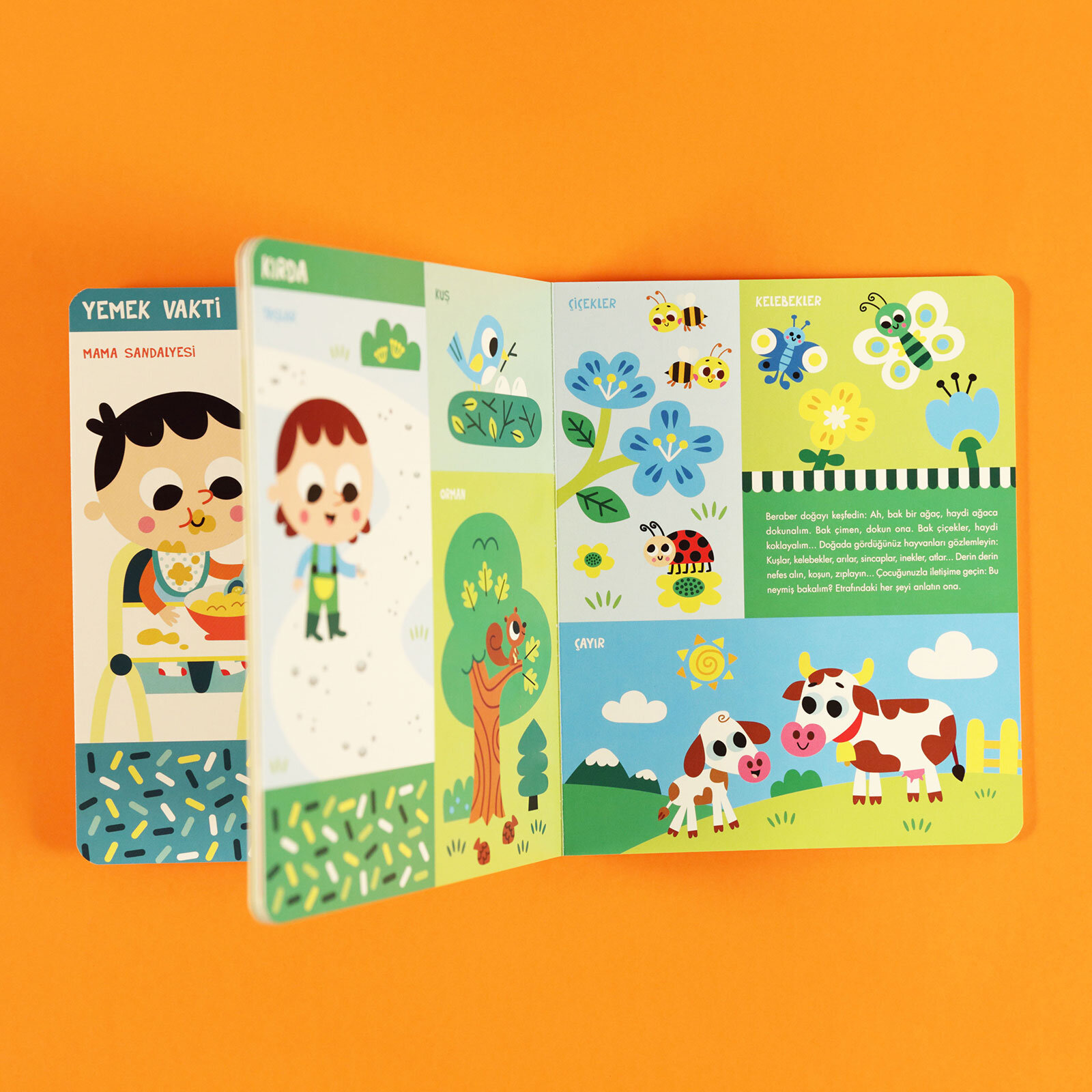 İlk Sözcüklerim 1 Yaş İlk Sözcüklerim 1 Yaş