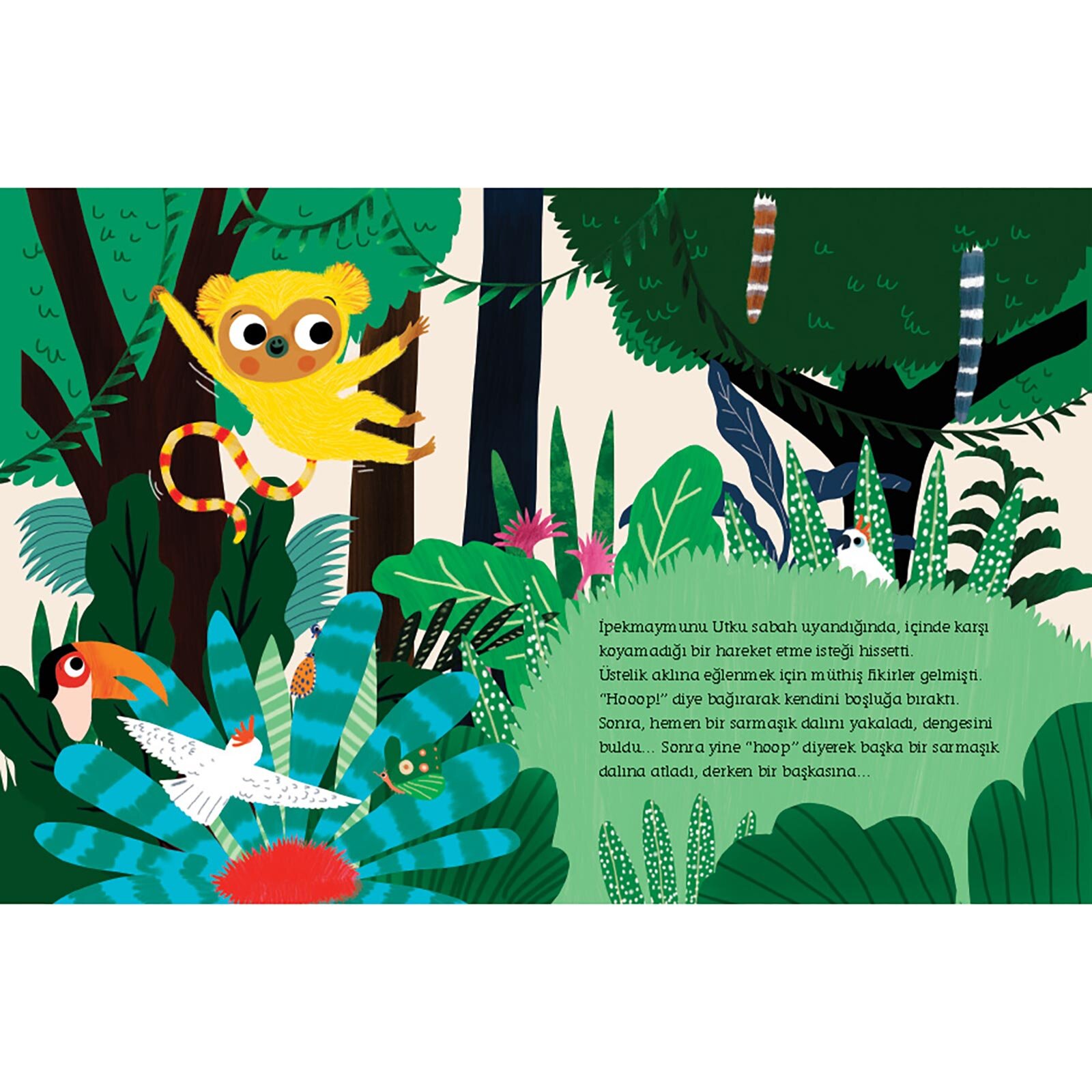 İpekmaymunu Utku Yerinde Durmuyor