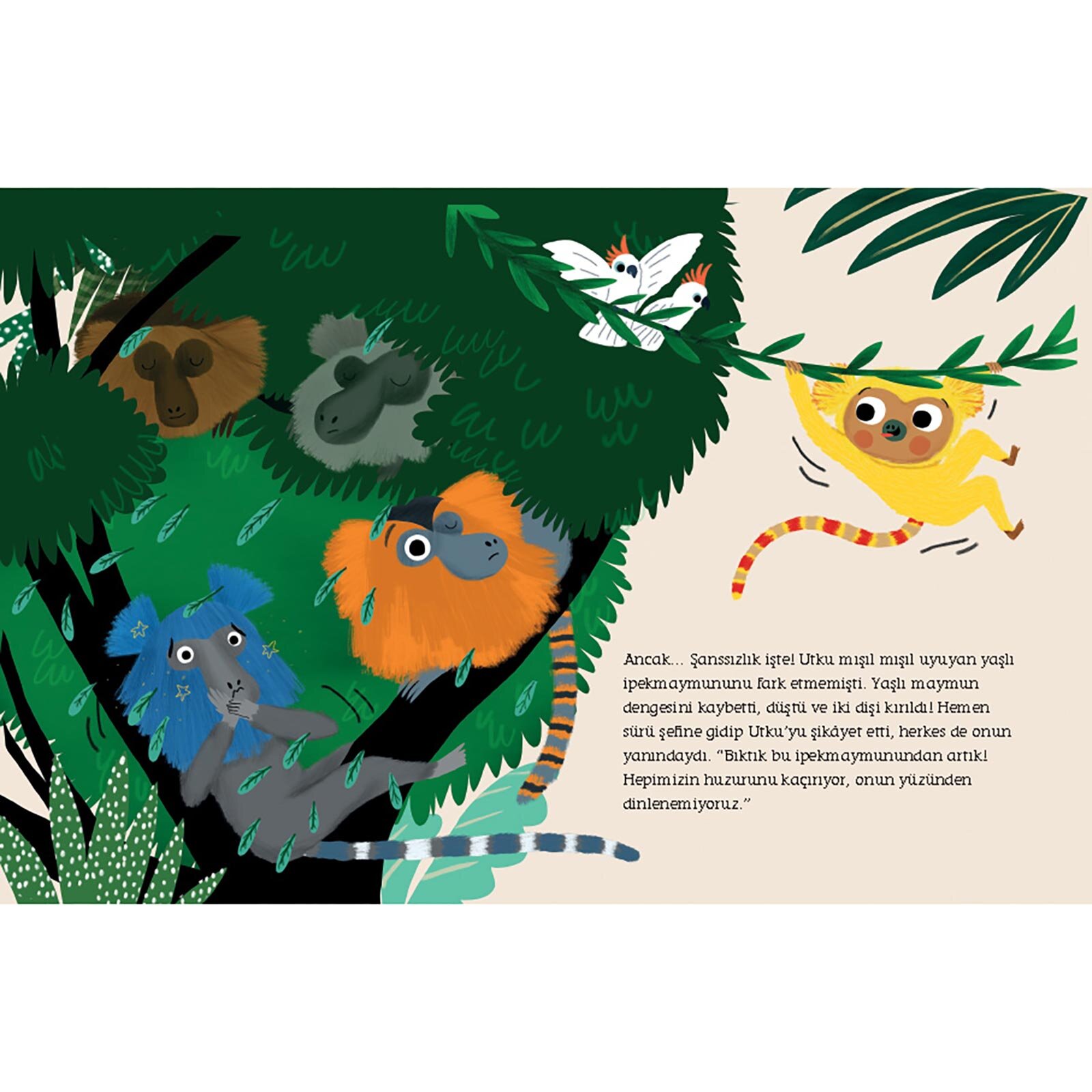 İpekmaymunu Utku Yerinde Durmuyor