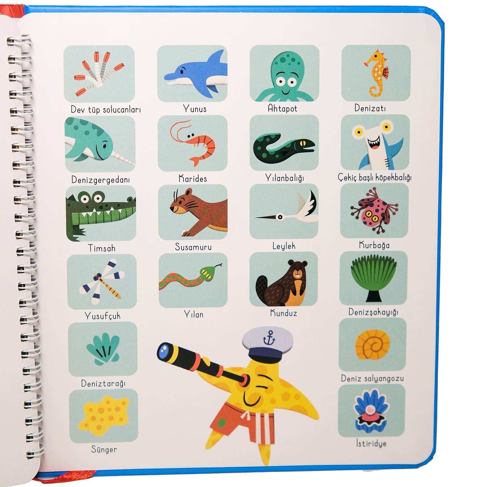 Işık Tut Keşfet - Büyük Mavi Okyanus Işık Tut Keşfet - Büyük Mavi Okyanus