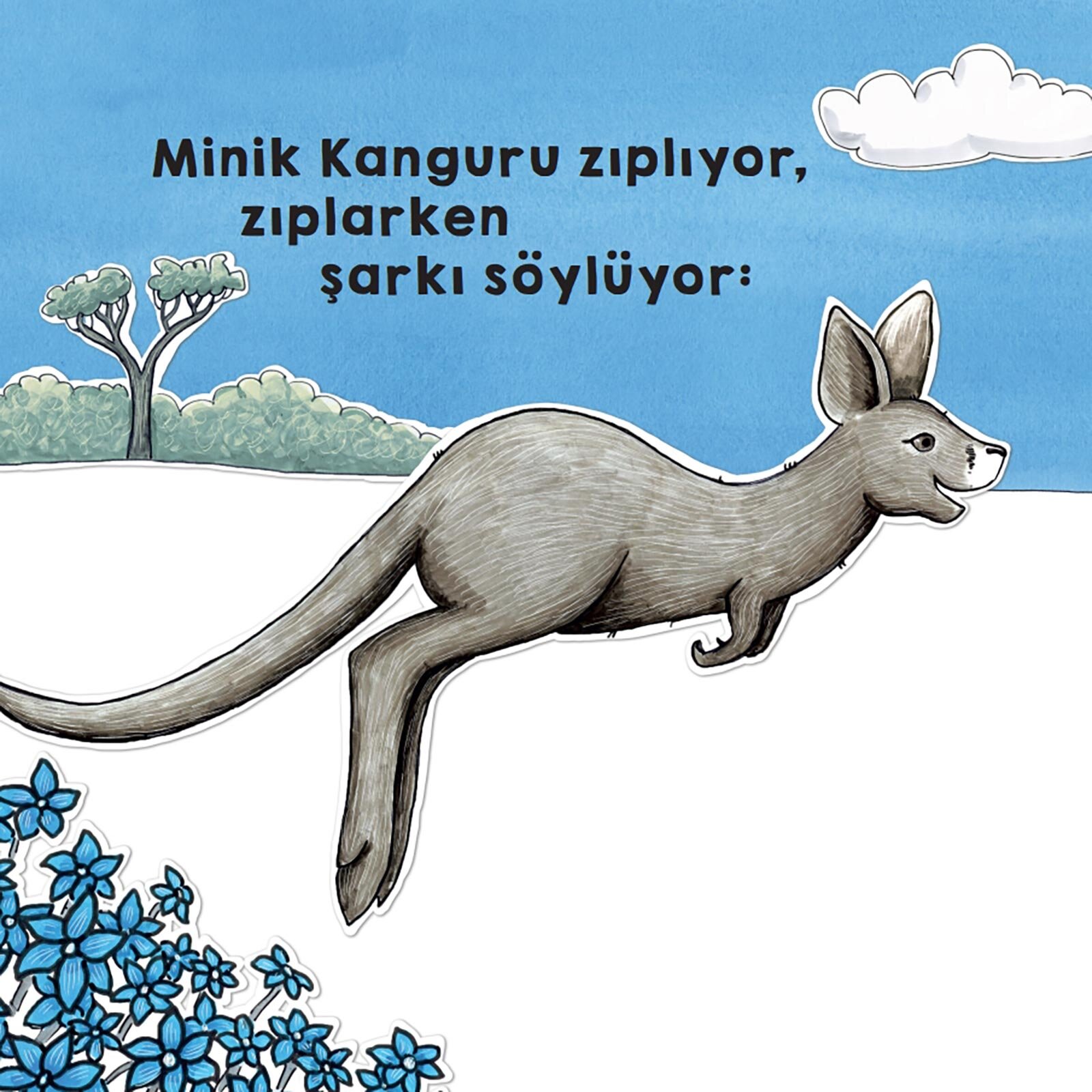Kanguru Renkleri Öğreniyor