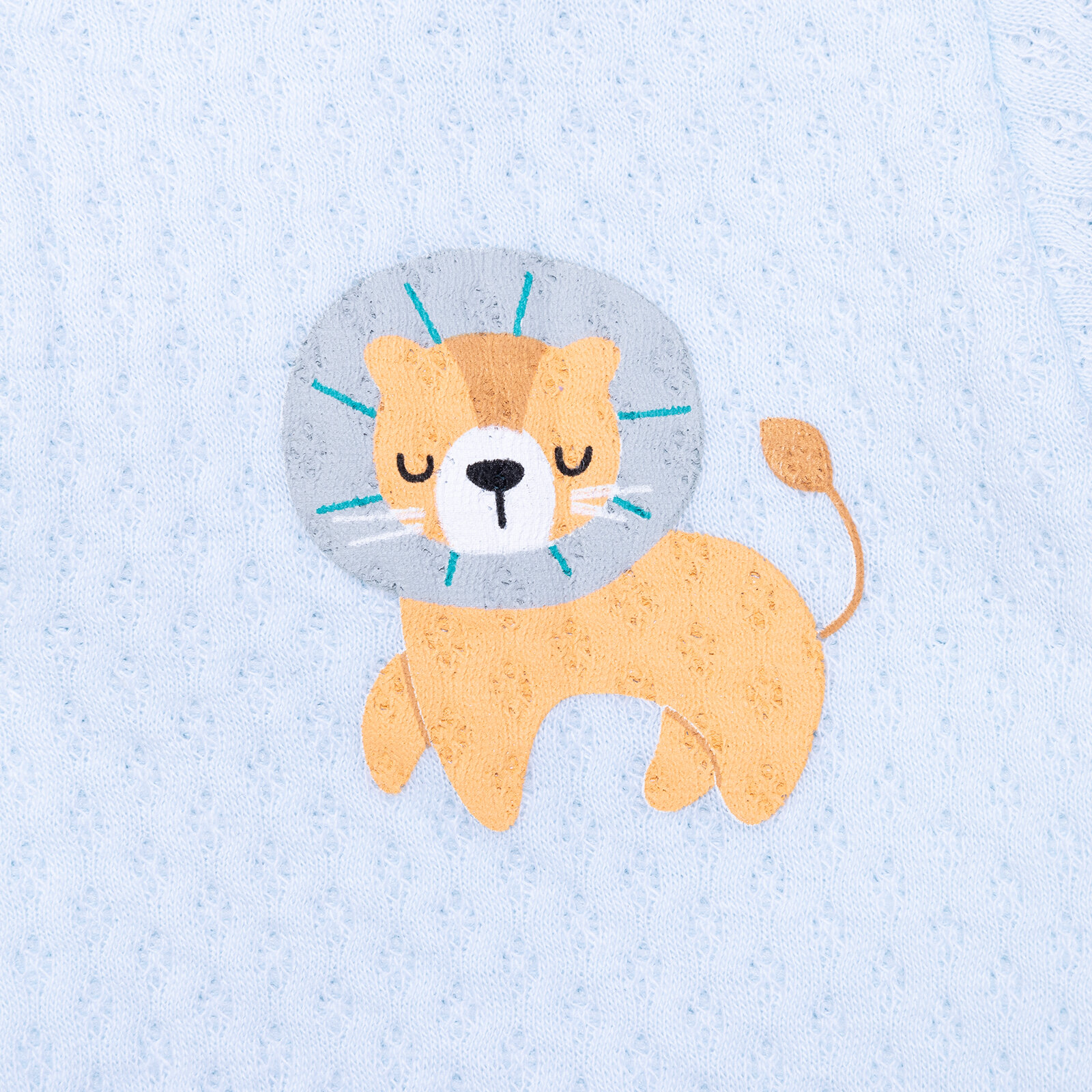 Kapitone Hırka Erkek Bebek