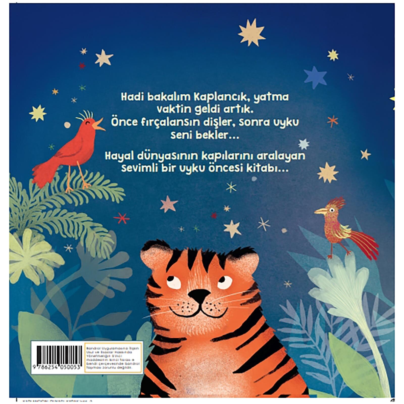 Kaplancığın Rüyası