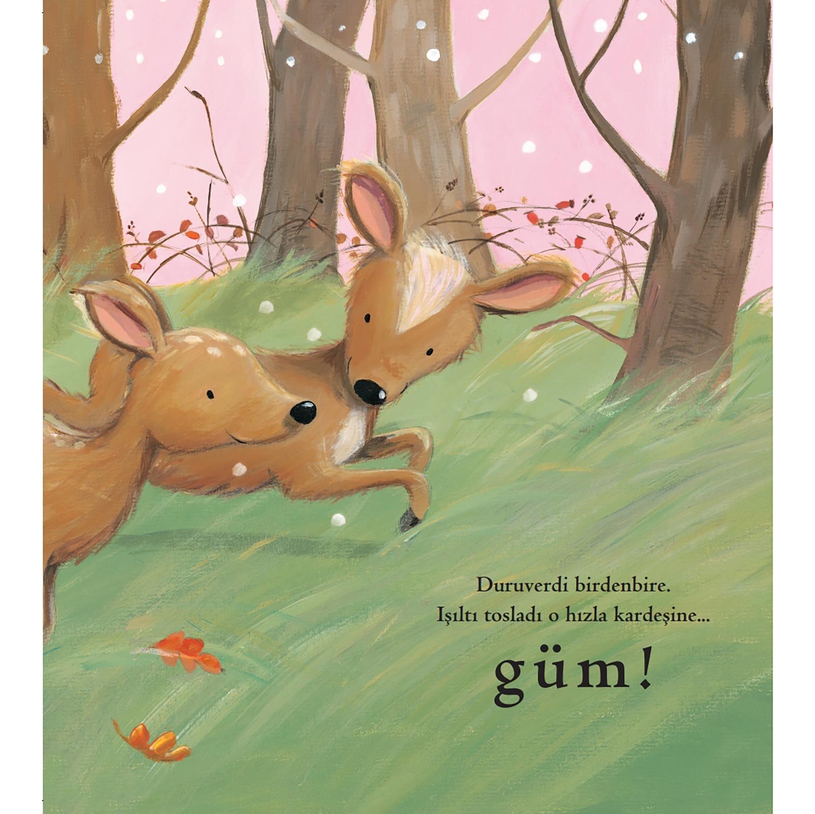 Kaybolan Yavru Geyikler