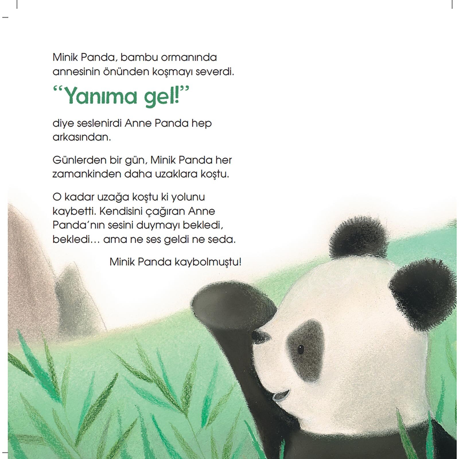 Kayıp Minik Panda