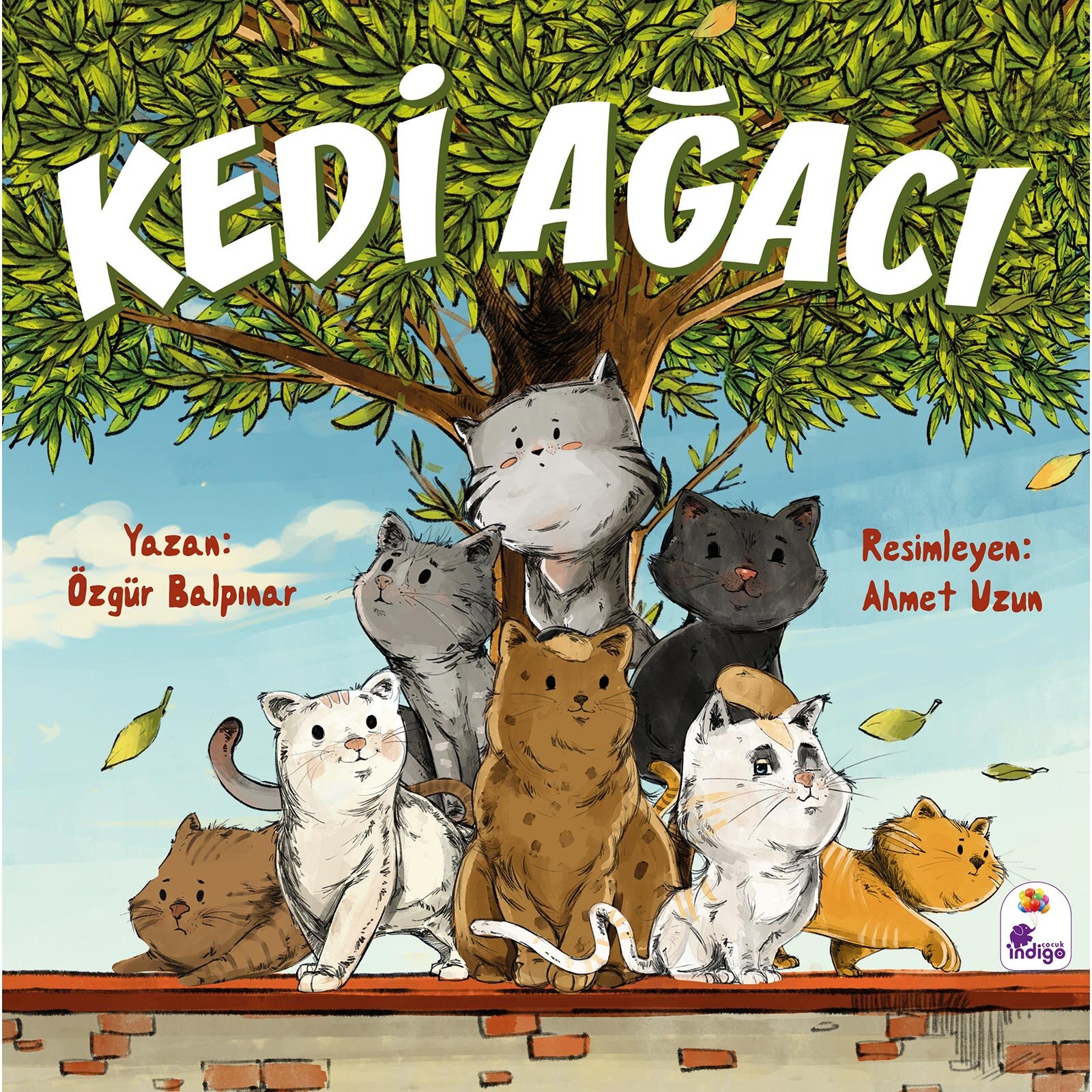 Kedi Ağacı Kedi Ağacı