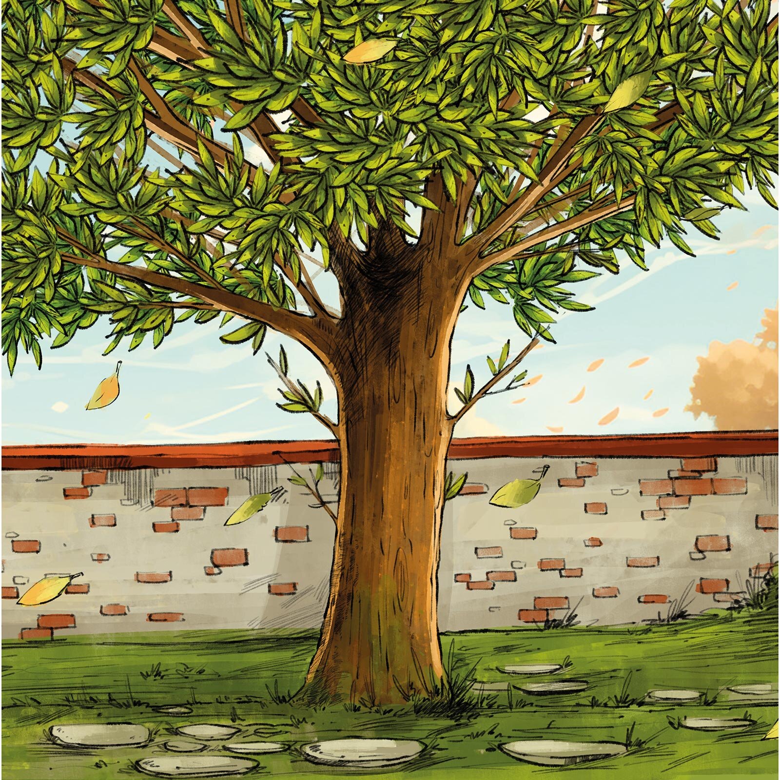 Kedi Ağacı Kedi Ağacı