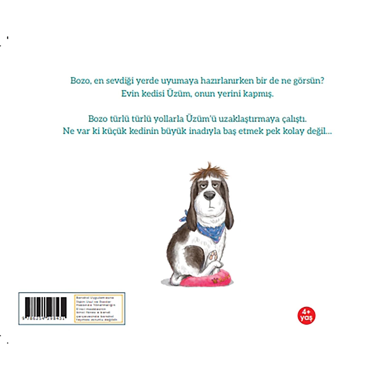 Kedi Yerimi Kaptı Kedi Yerimi Kaptı