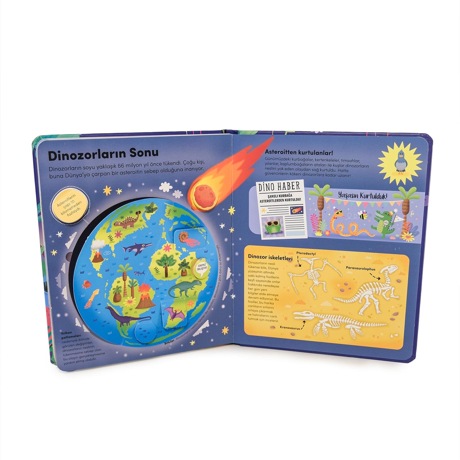 Keşif zamanı serisi- Dinozorlar Keşif zamanı serisi- Dinozorlar