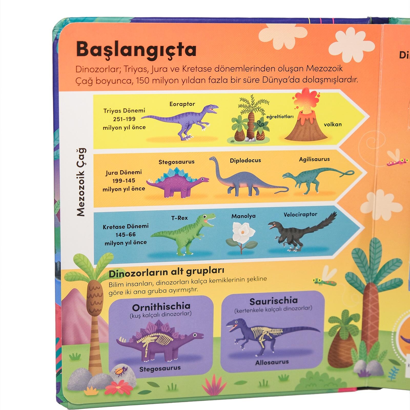 Keşif zamanı serisi- Dinozorlar Keşif zamanı serisi- Dinozorlar
