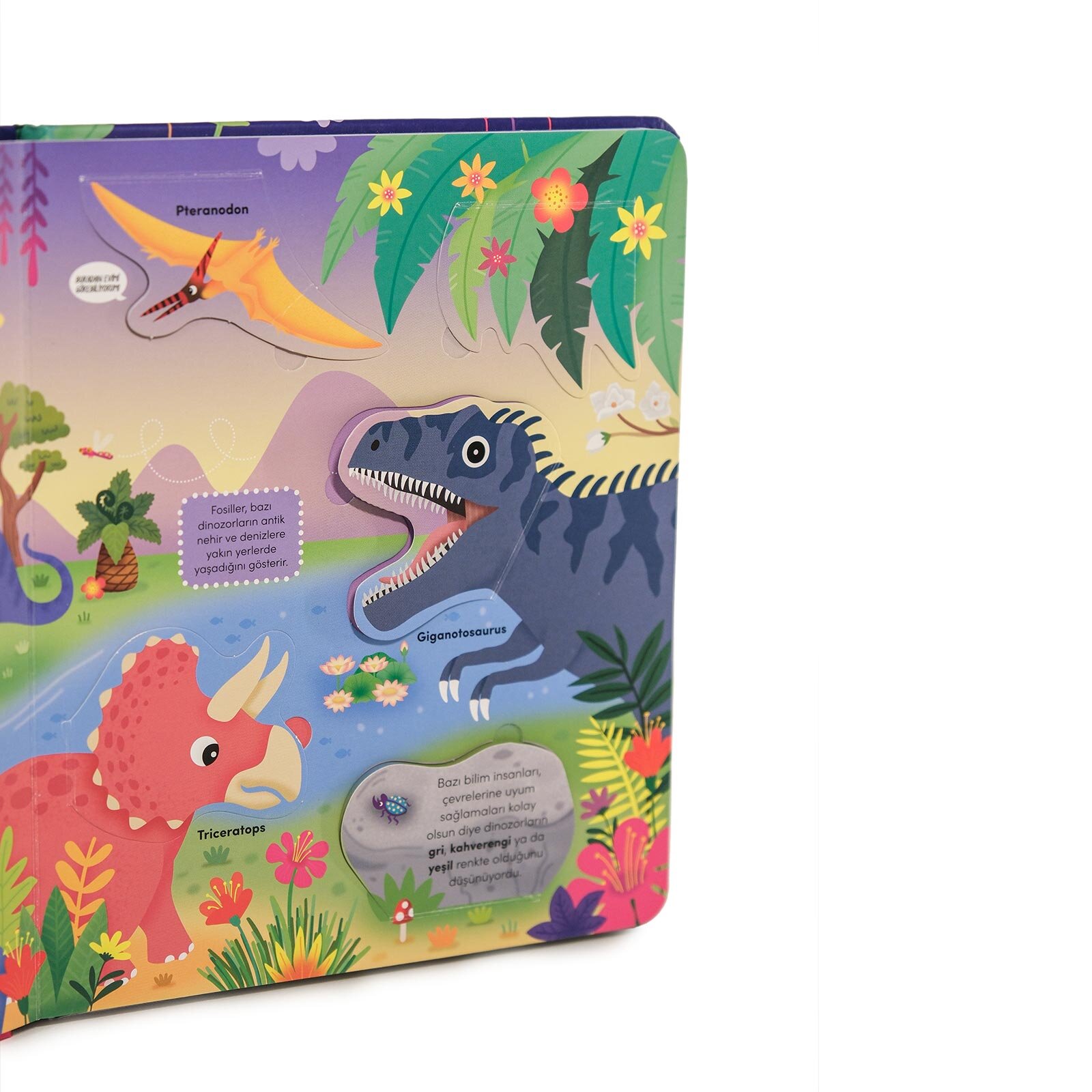 Keşif zamanı serisi- Dinozorlar Keşif zamanı serisi- Dinozorlar