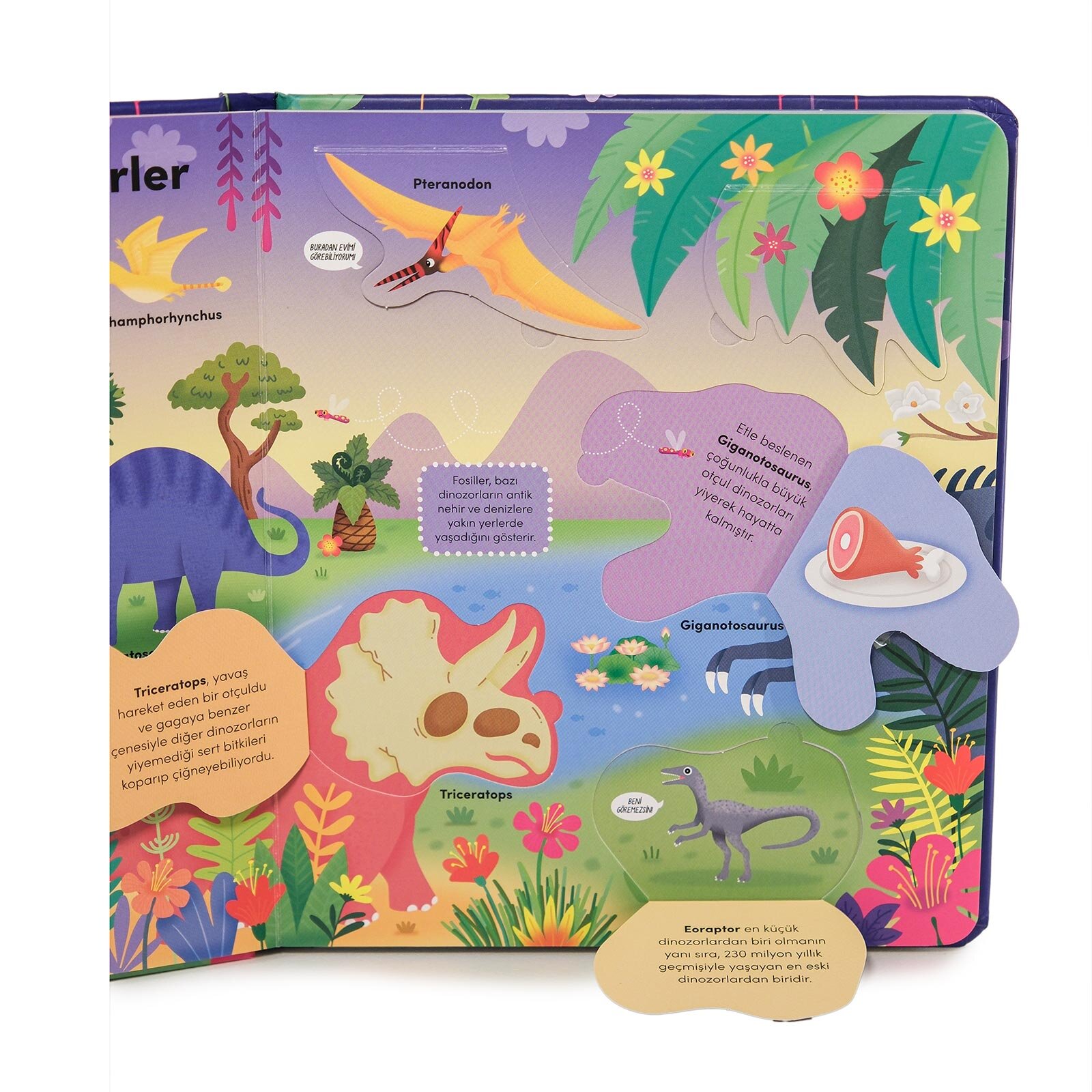 Keşif zamanı serisi- Dinozorlar Keşif zamanı serisi- Dinozorlar